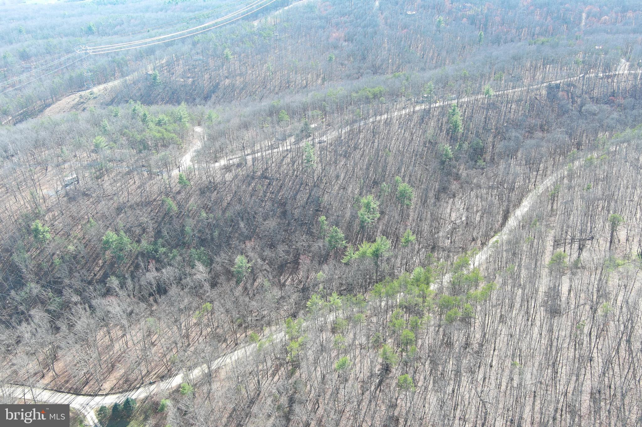 NORTH RIVER WILDERNESS - Land