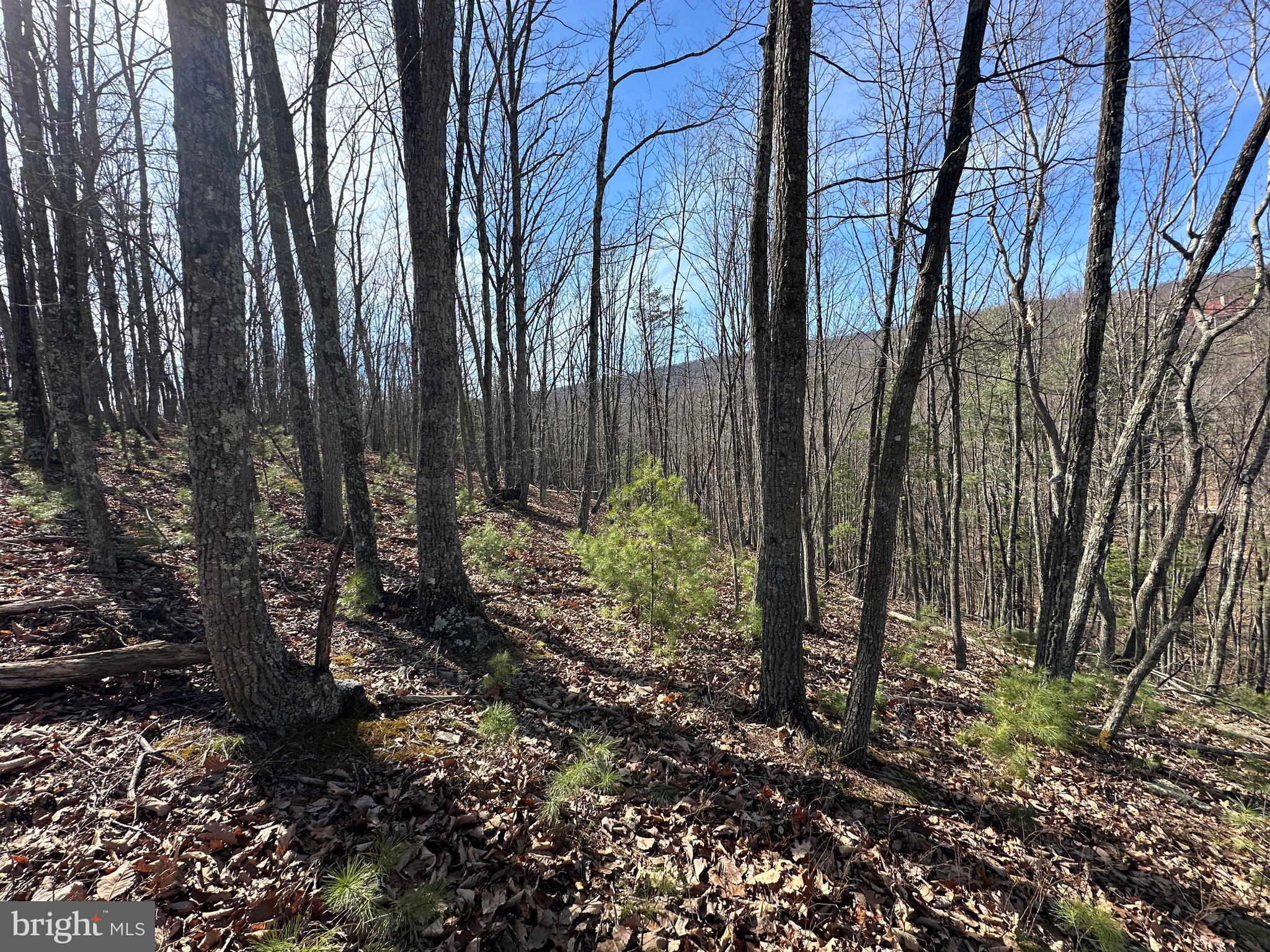 NORTH RIVER WILDERNESS - Land