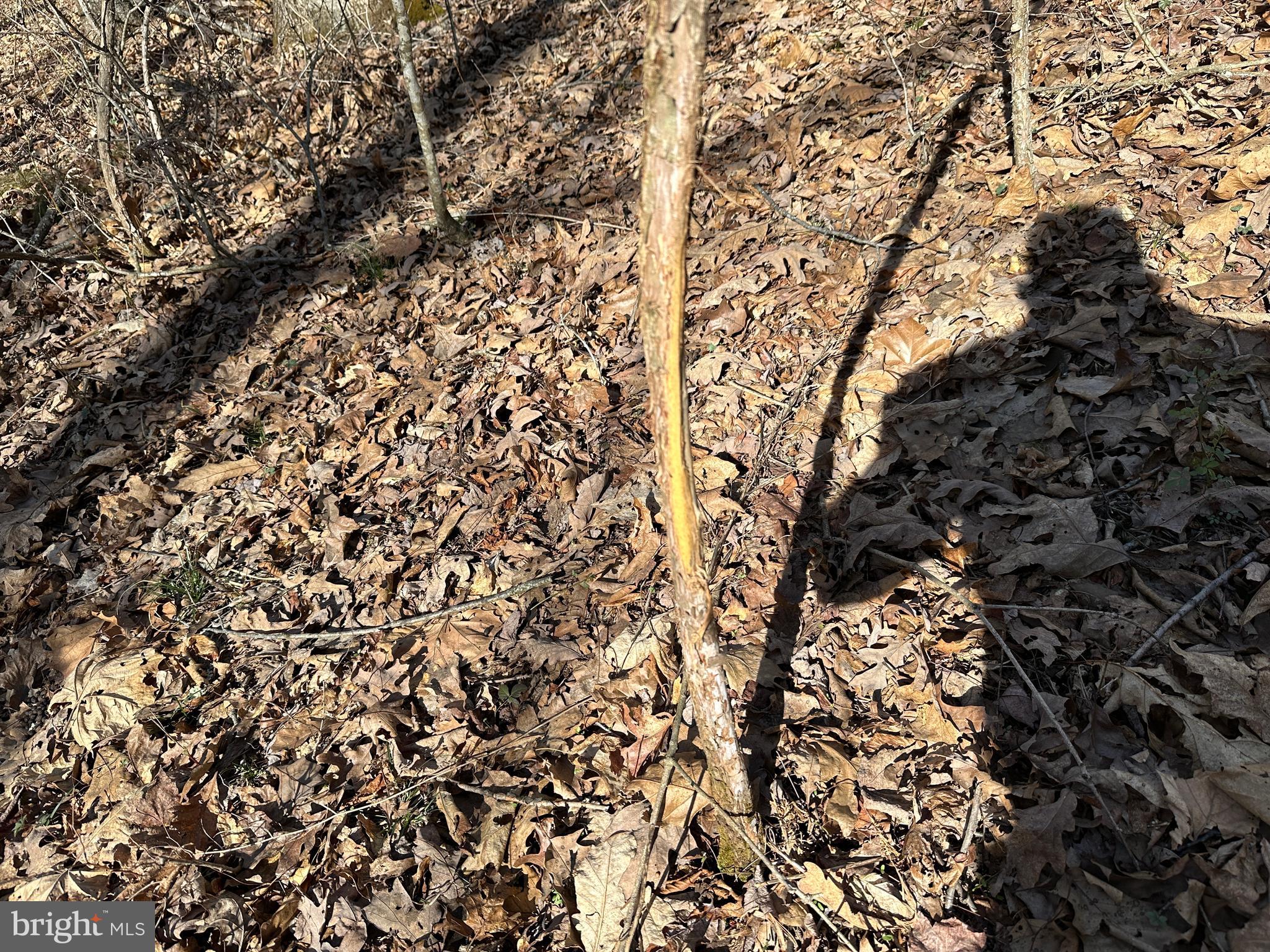 NORTH RIVER WILDERNESS - Land