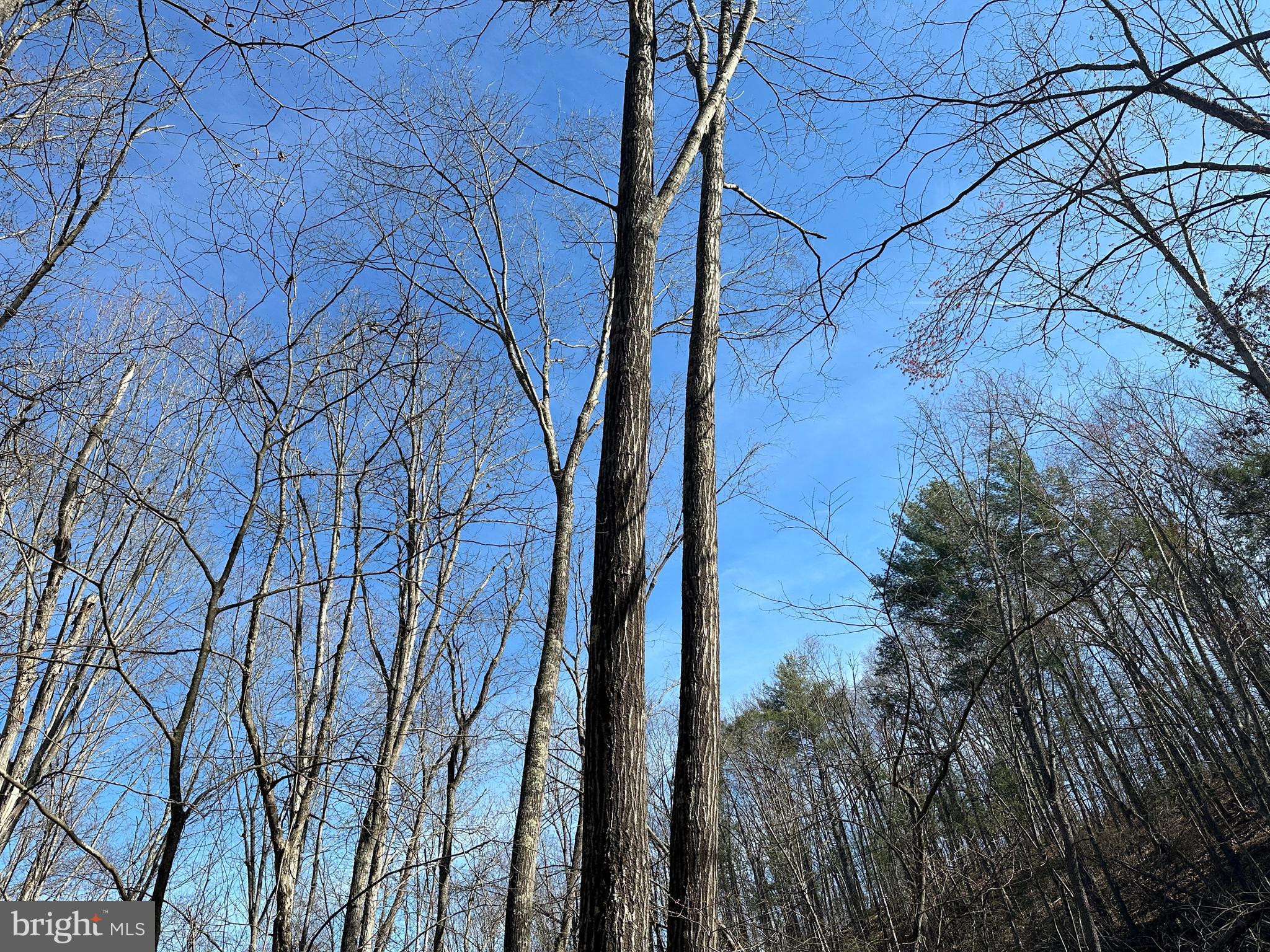 NORTH RIVER WILDERNESS - Land