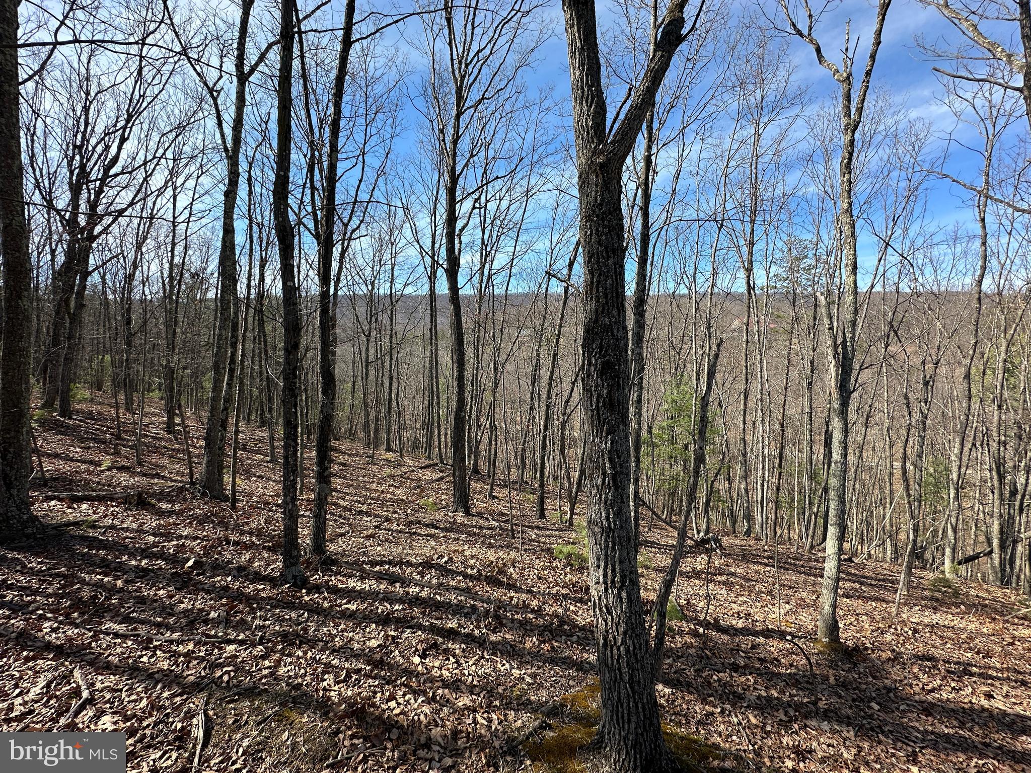 NORTH RIVER WILDERNESS - Land