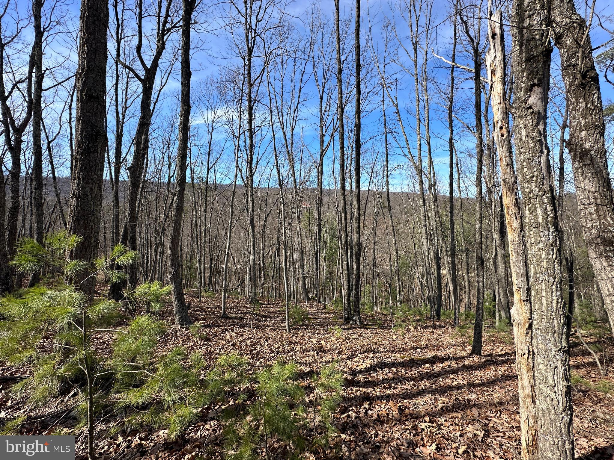 NORTH RIVER WILDERNESS - Land