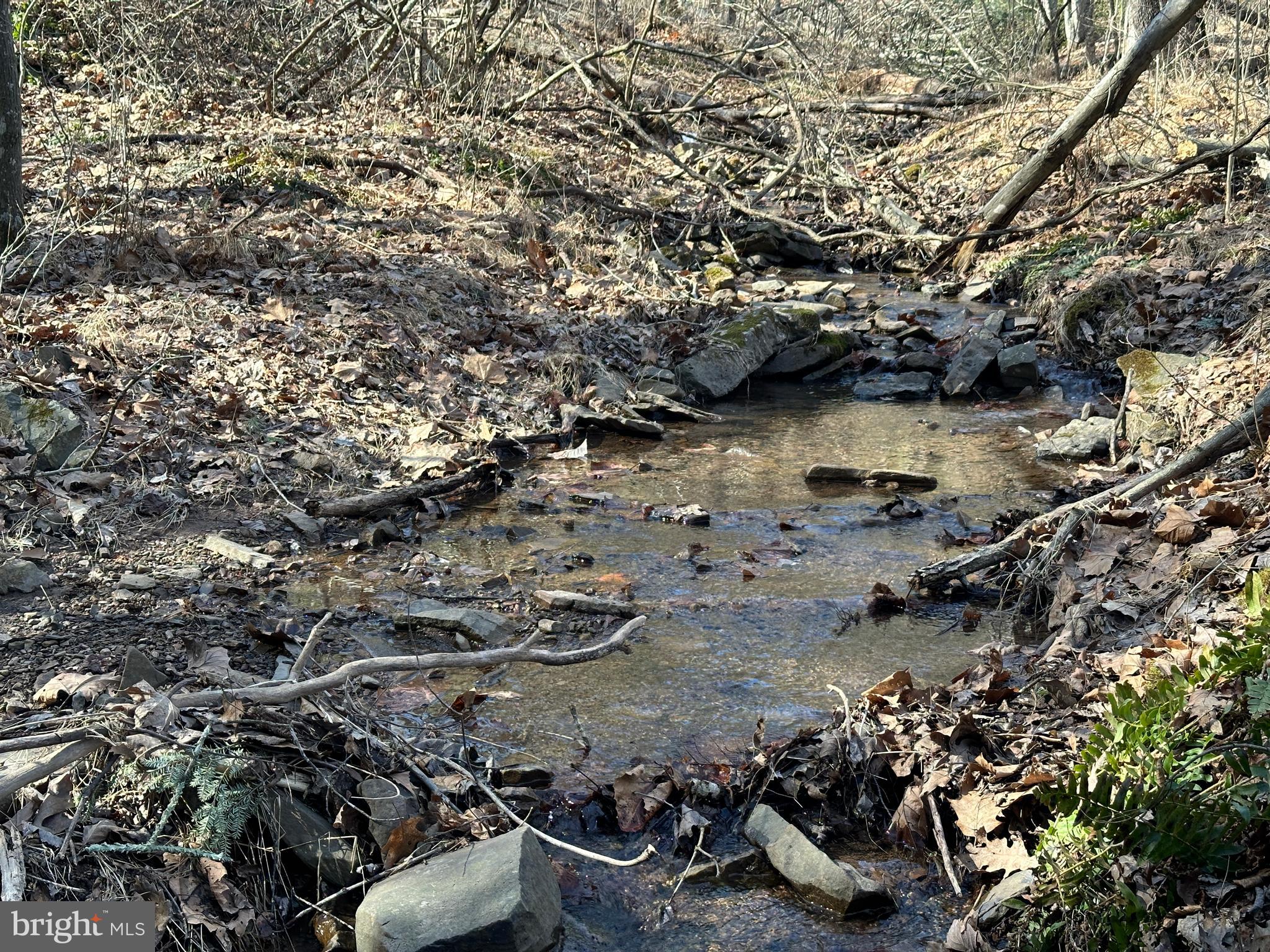 NORTH RIVER WILDERNESS - Land
