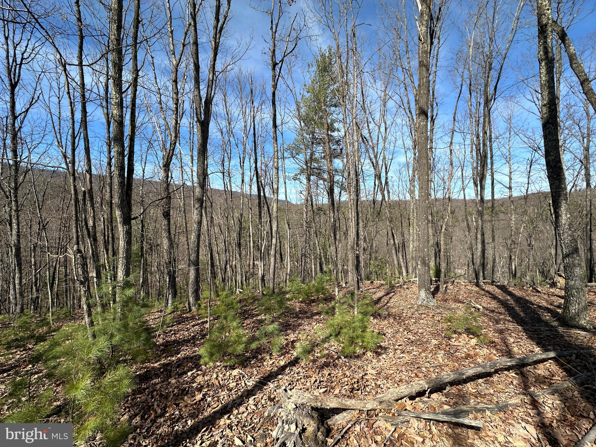 NORTH RIVER WILDERNESS - Land
