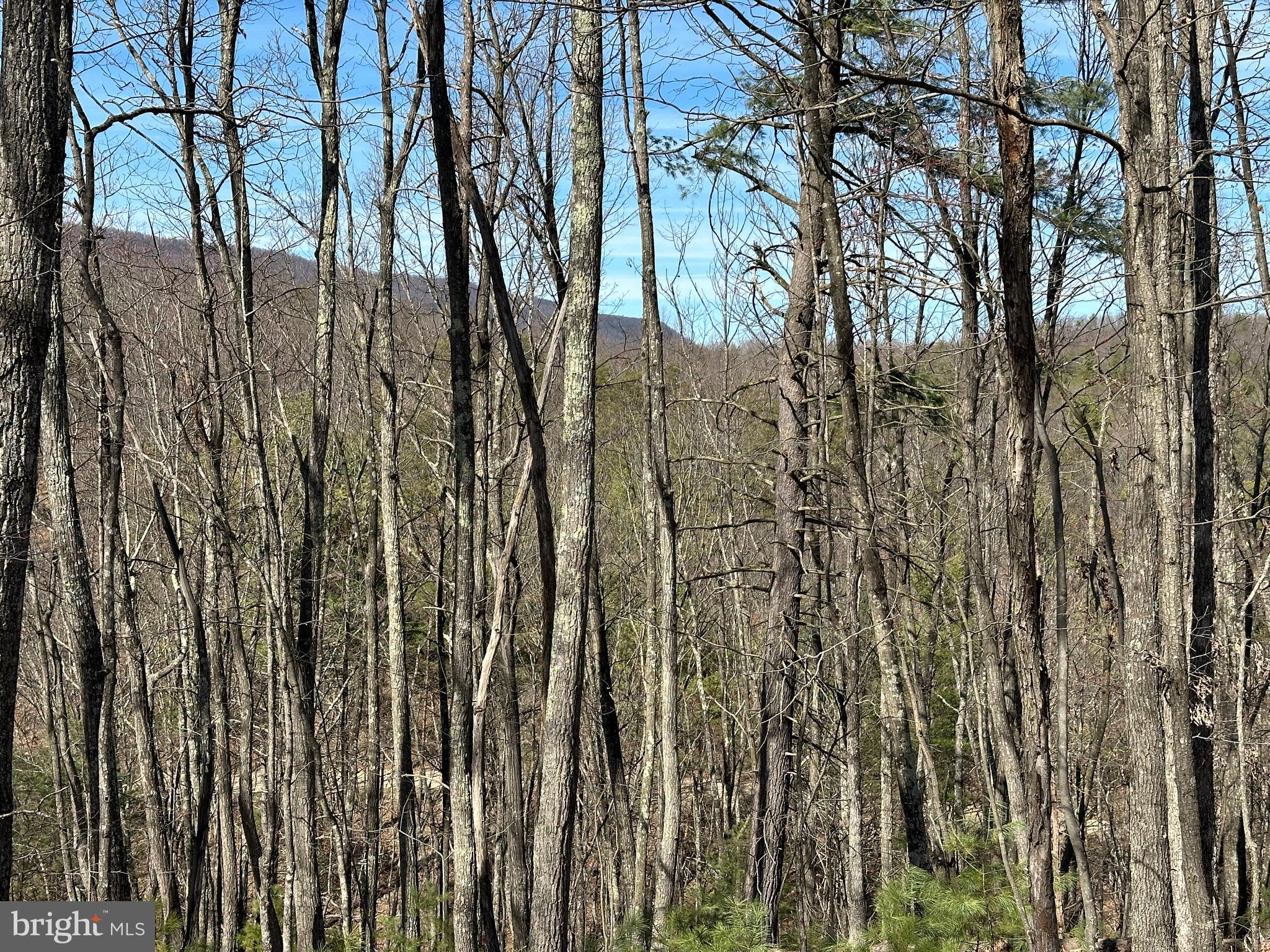 NORTH RIVER WILDERNESS - Land