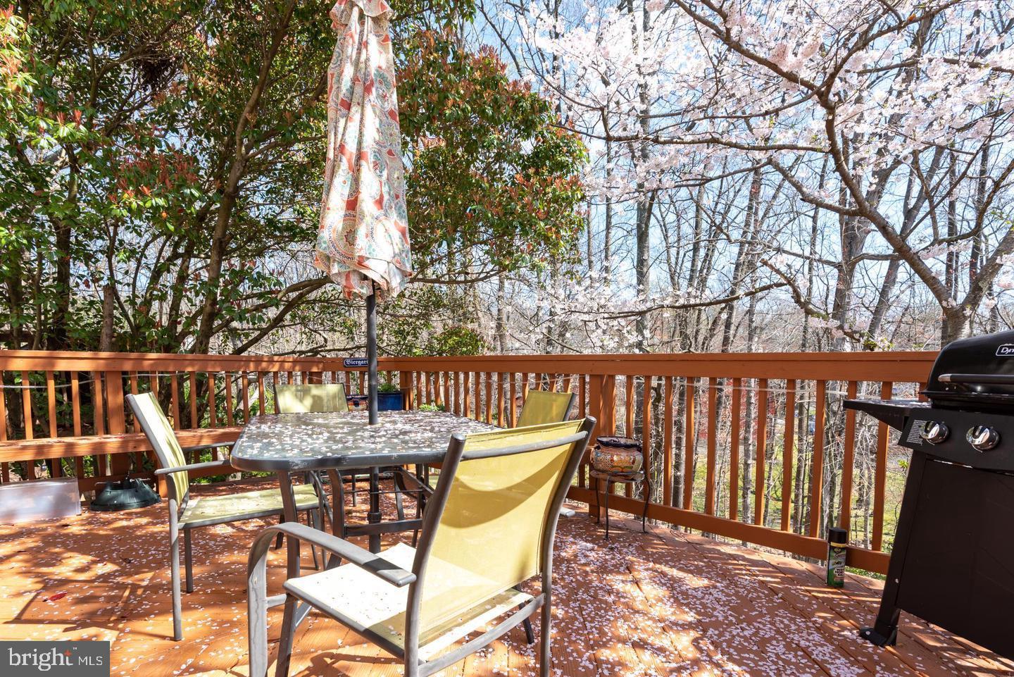 6163 FOREST CREEK LANE