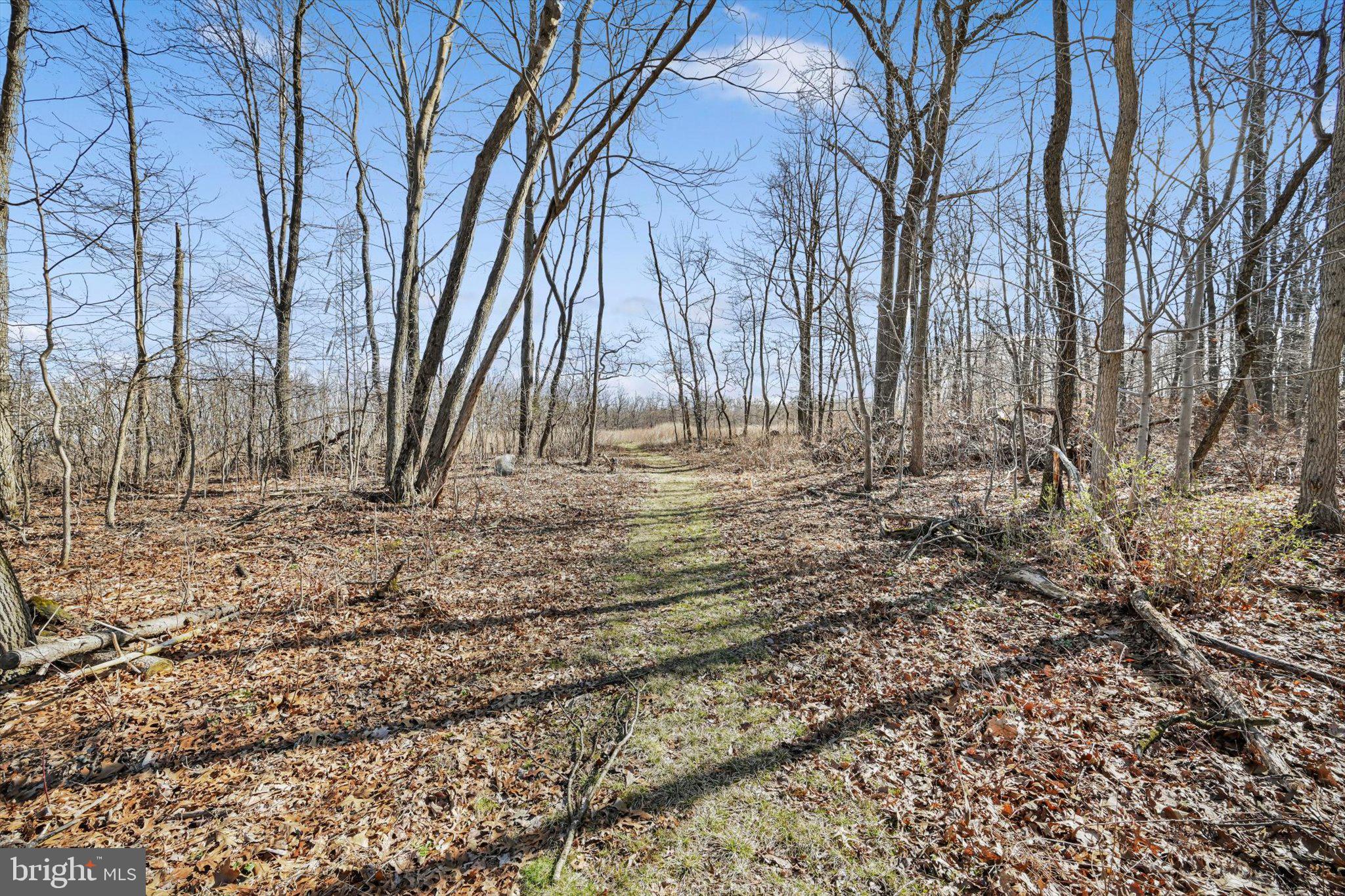 418 MOUNTAINSIDE ROAD