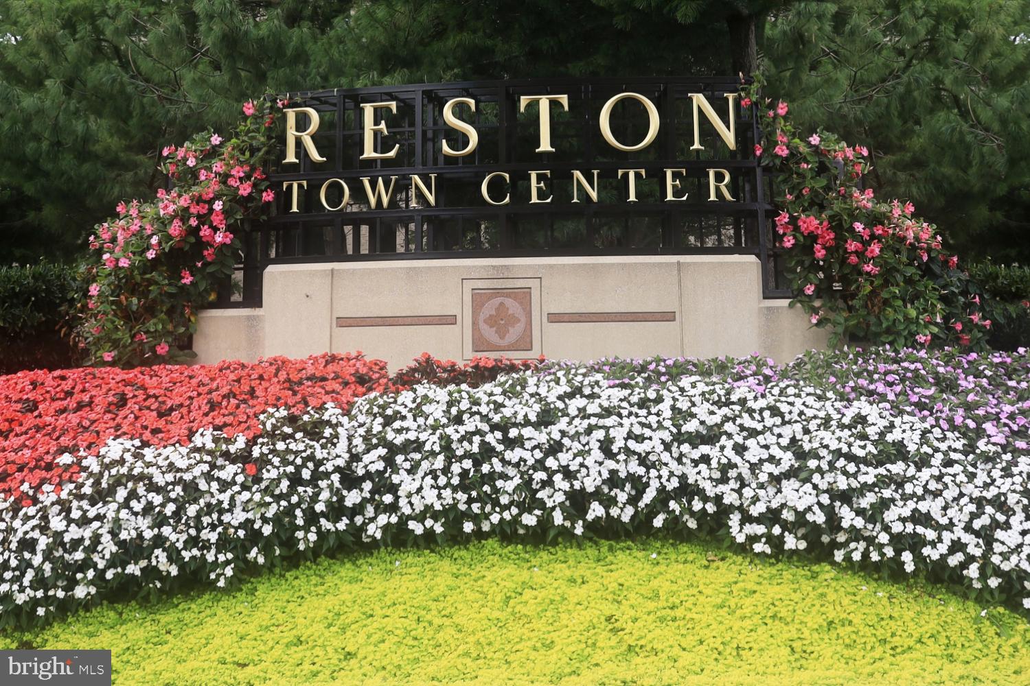 RESTON - Residential