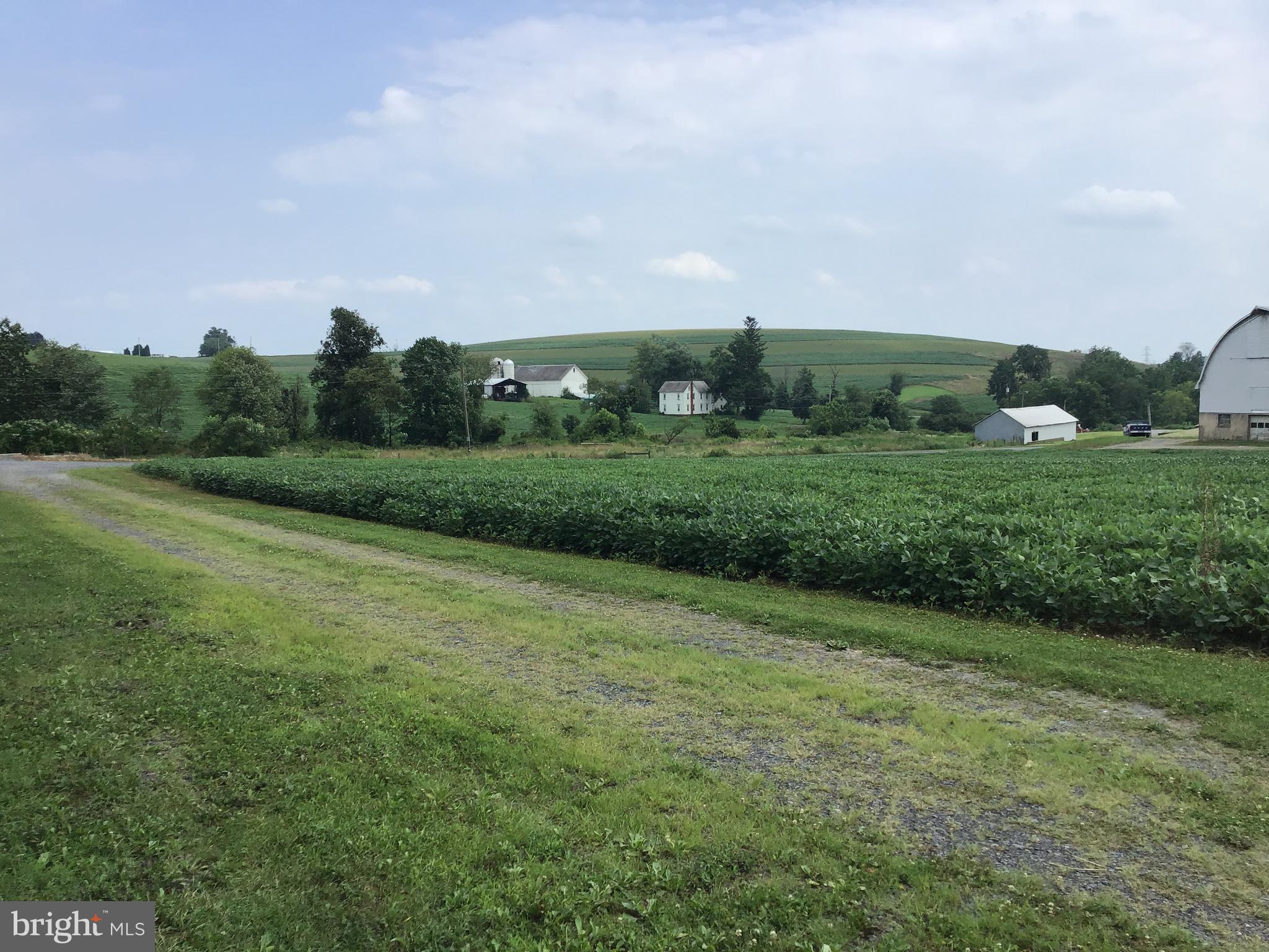 NONE  AVAILABLE - Farm