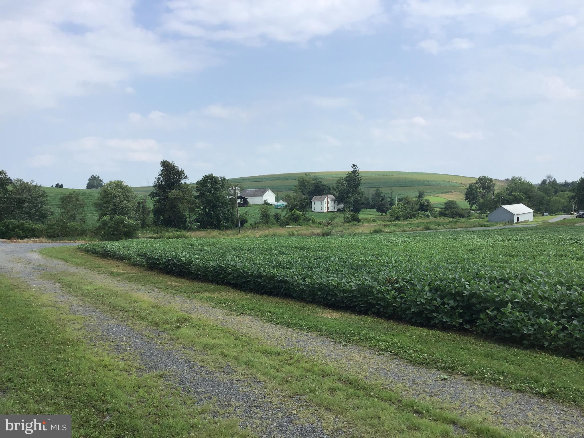 NONE  AVAILABLE - Farm