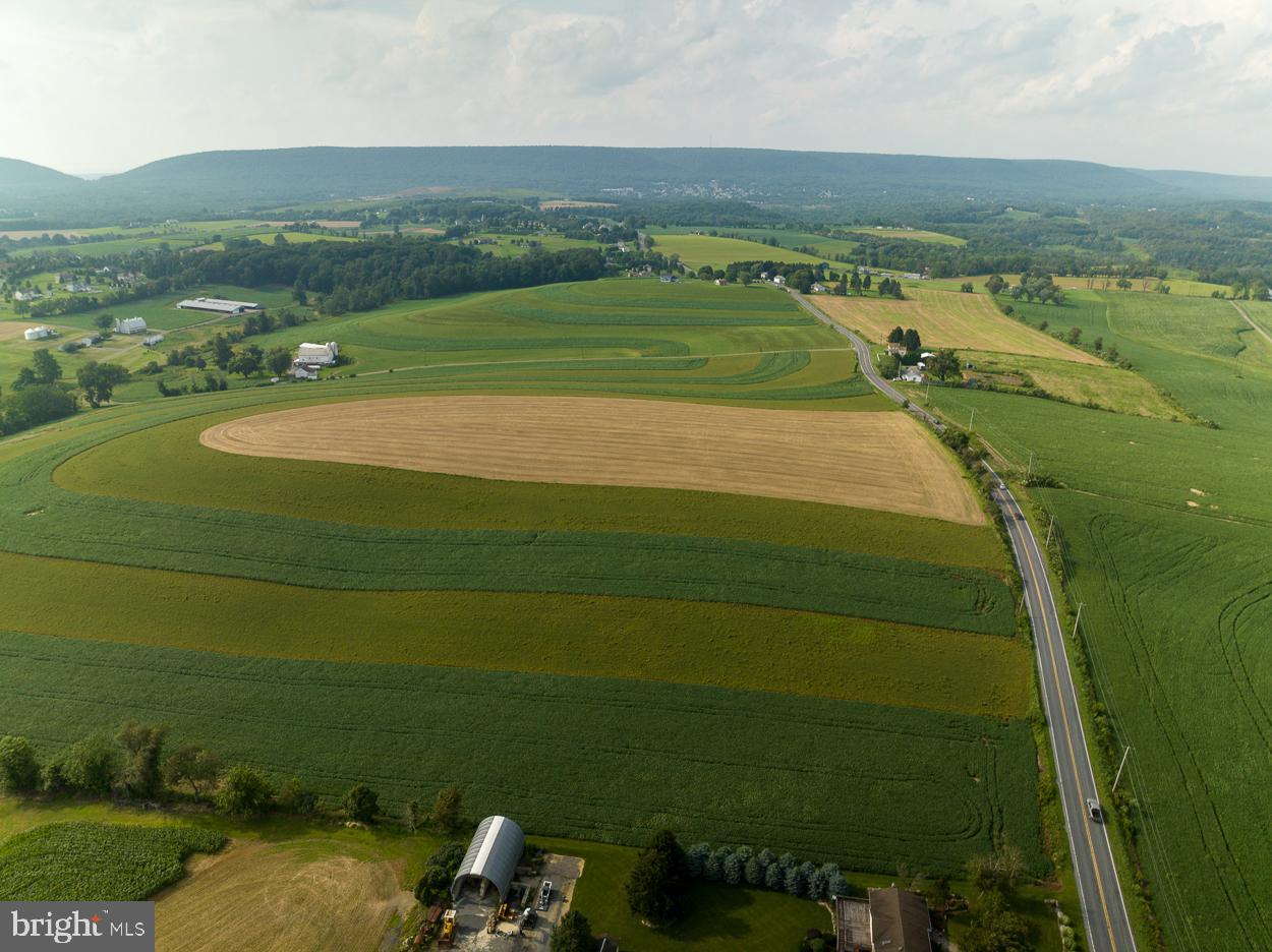 NONE  AVAILABLE - Farm