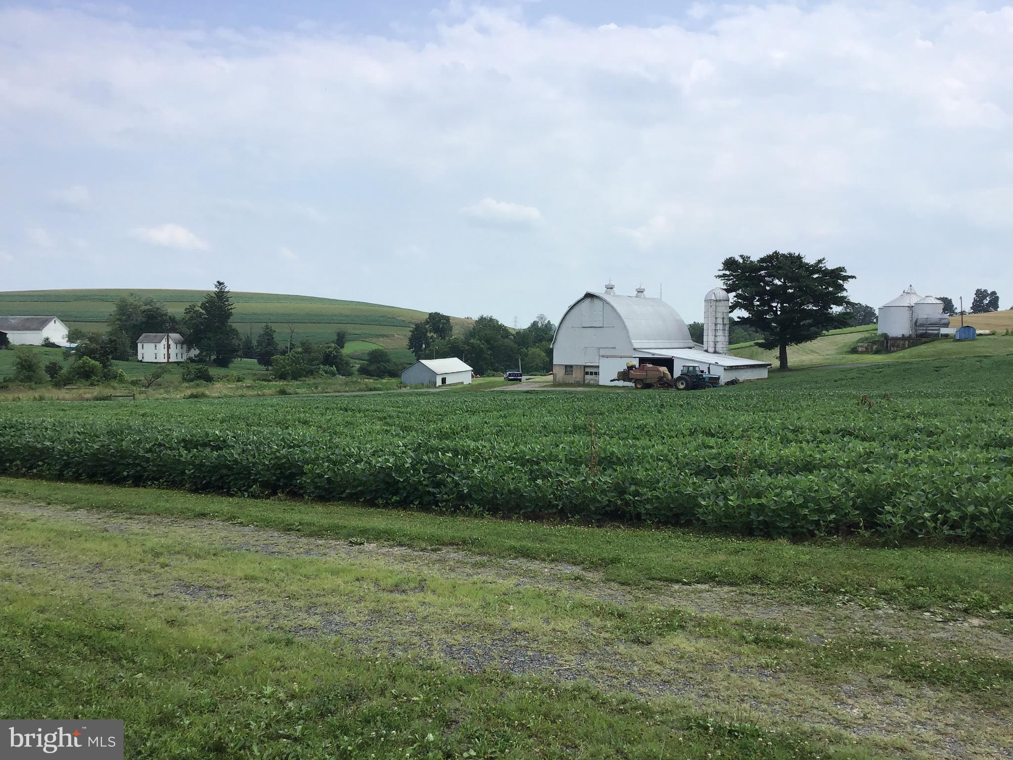 NONE  AVAILABLE - Farm