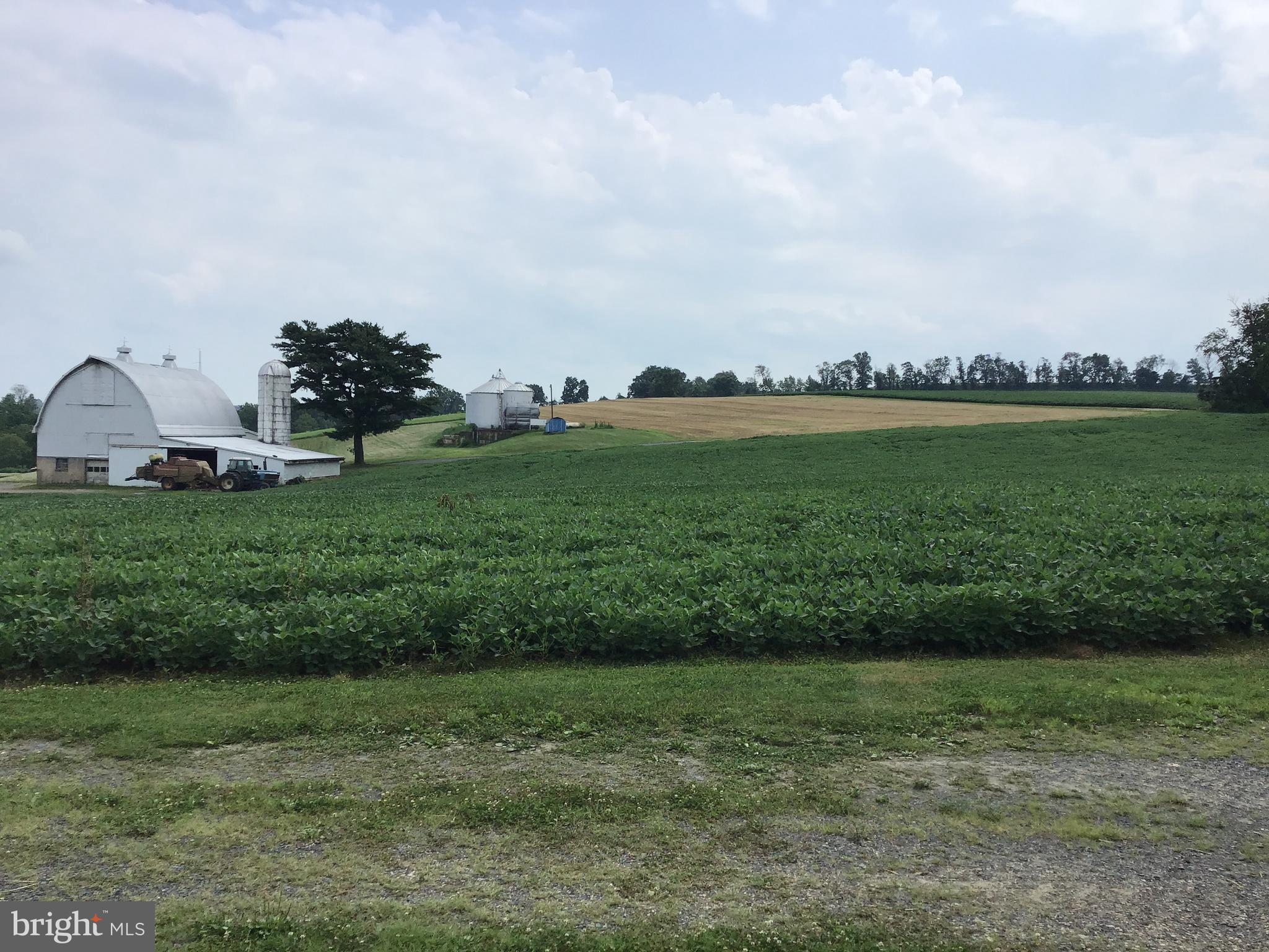 NONE  AVAILABLE - Farm