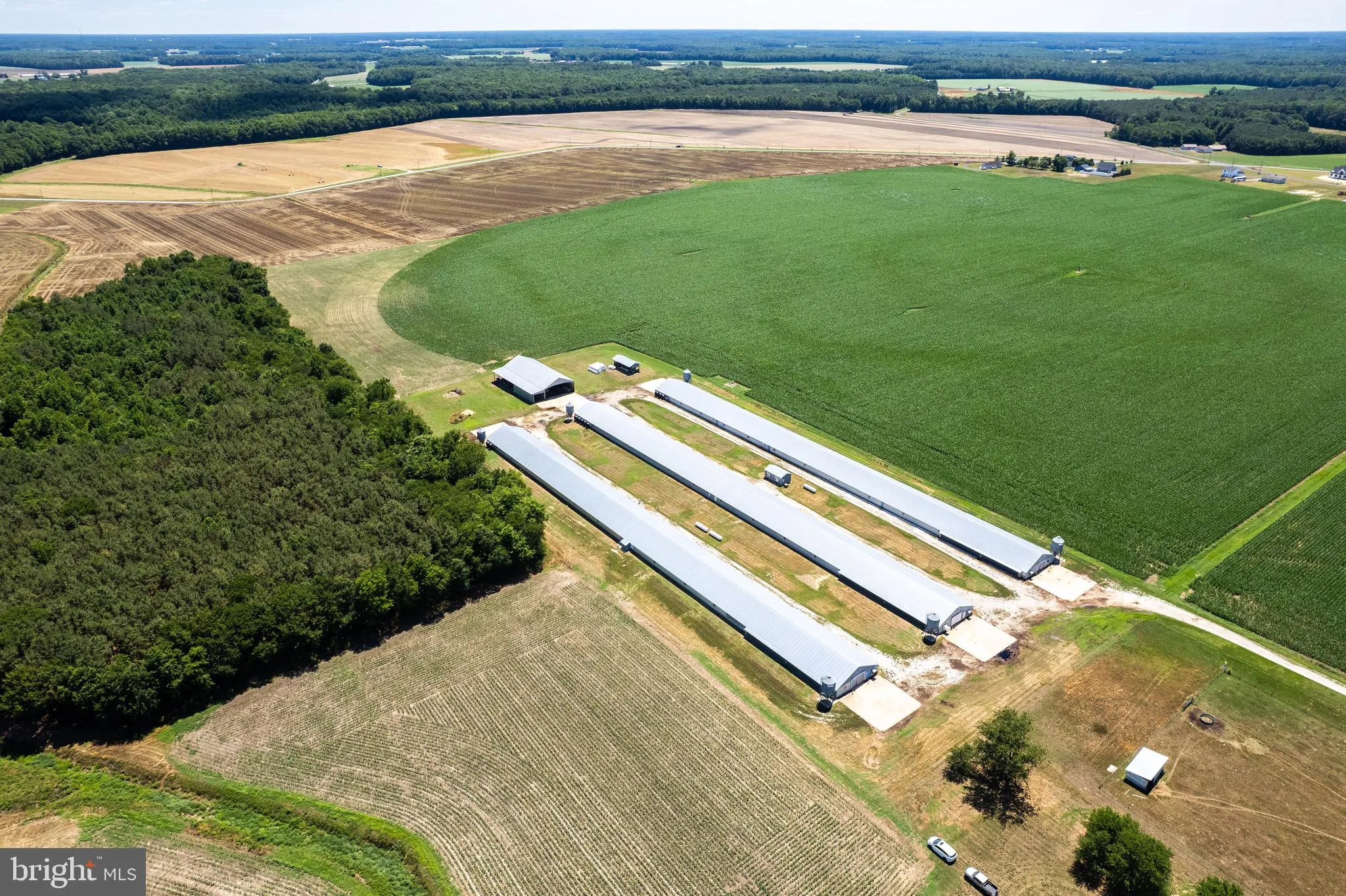 Additional image 39 of Poultry Farm Dublin Hill Road, Bridgeville, DE 19933