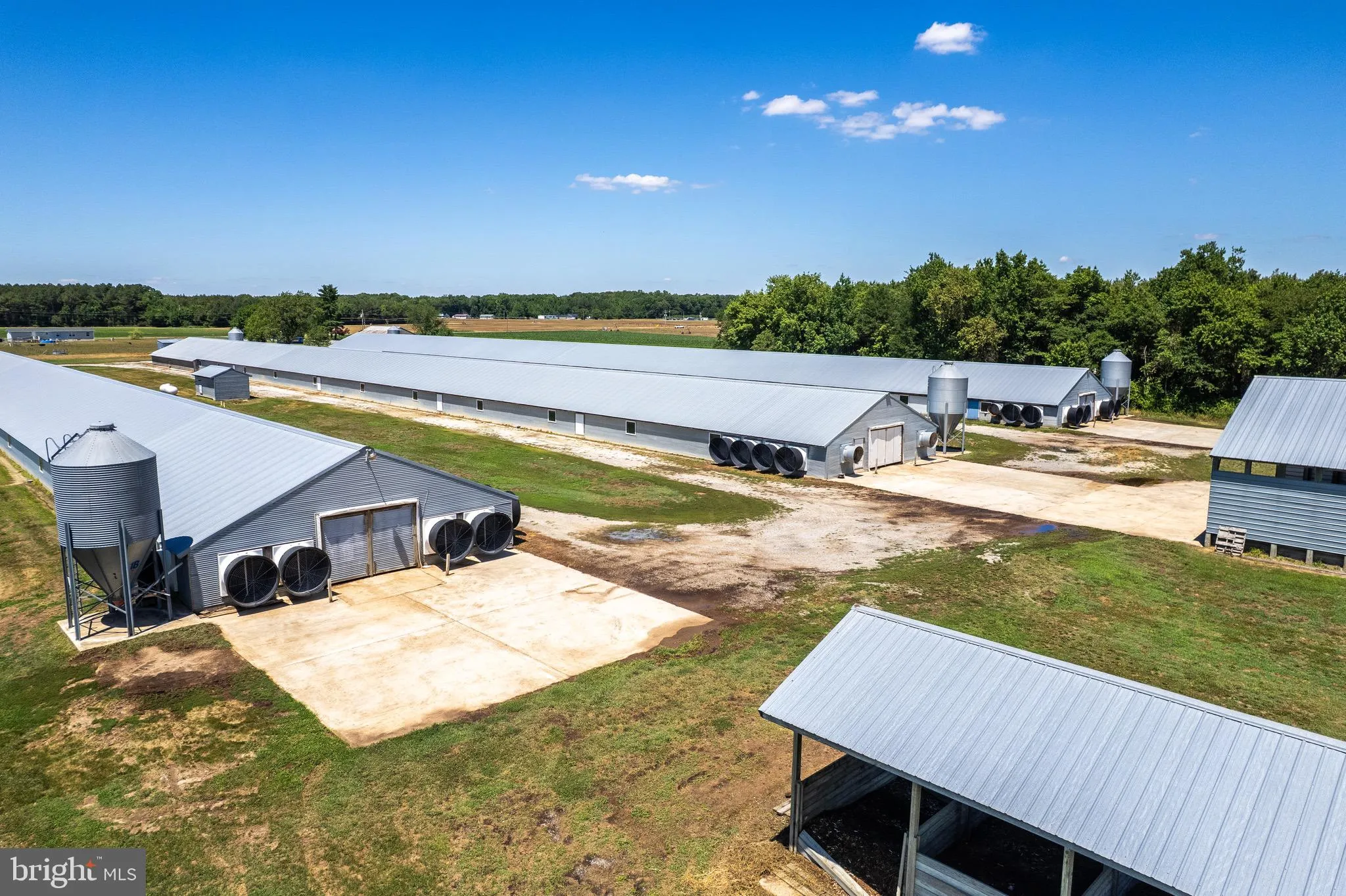 Additional image 34 of Poultry Farm Dublin Hill Road, Bridgeville, DE 19933