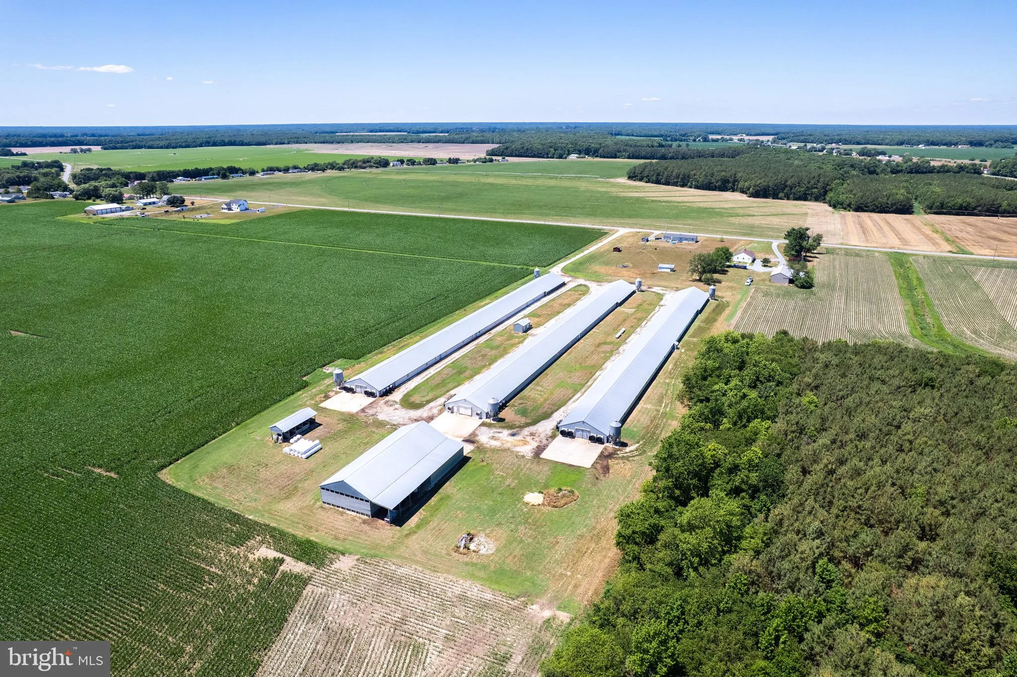 Additional image 31 of Poultry Farm Dublin Hill Road, Bridgeville, DE 19933