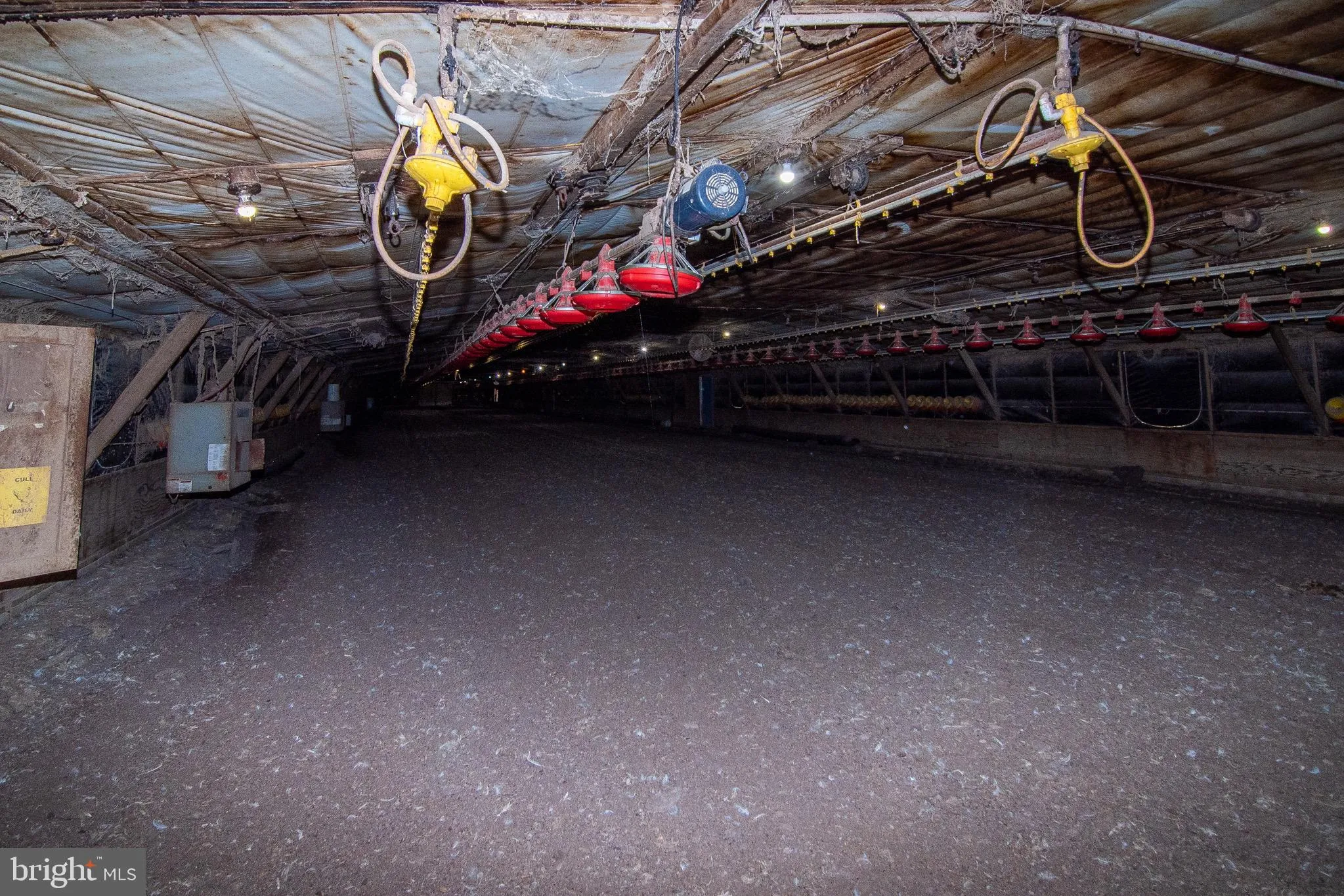 Additional image 46 of Poultry Farm Dublin Hill Road, Bridgeville, DE 19933