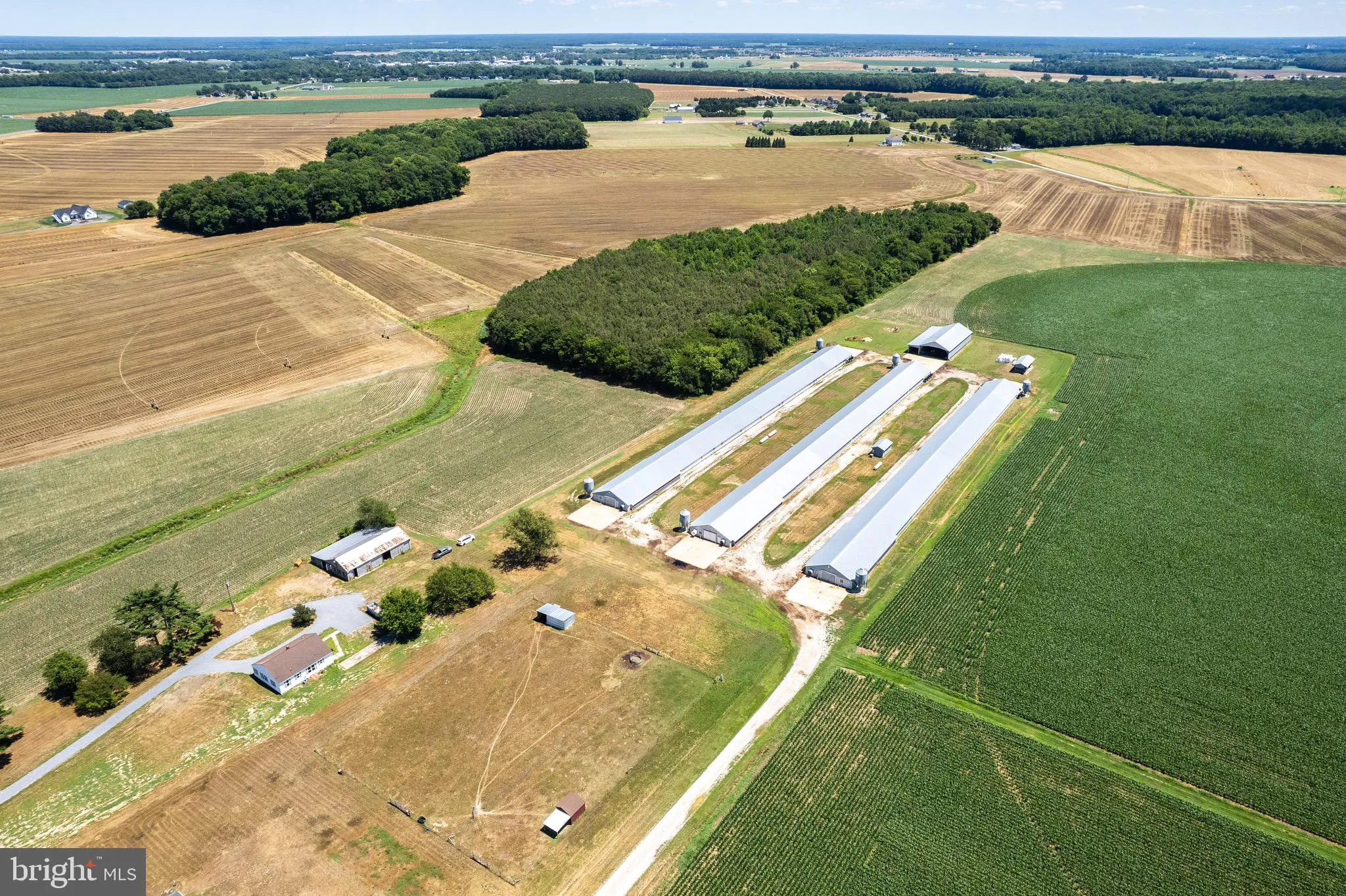 Additional image 40 of Poultry Farm Dublin Hill Road, Bridgeville, DE 19933