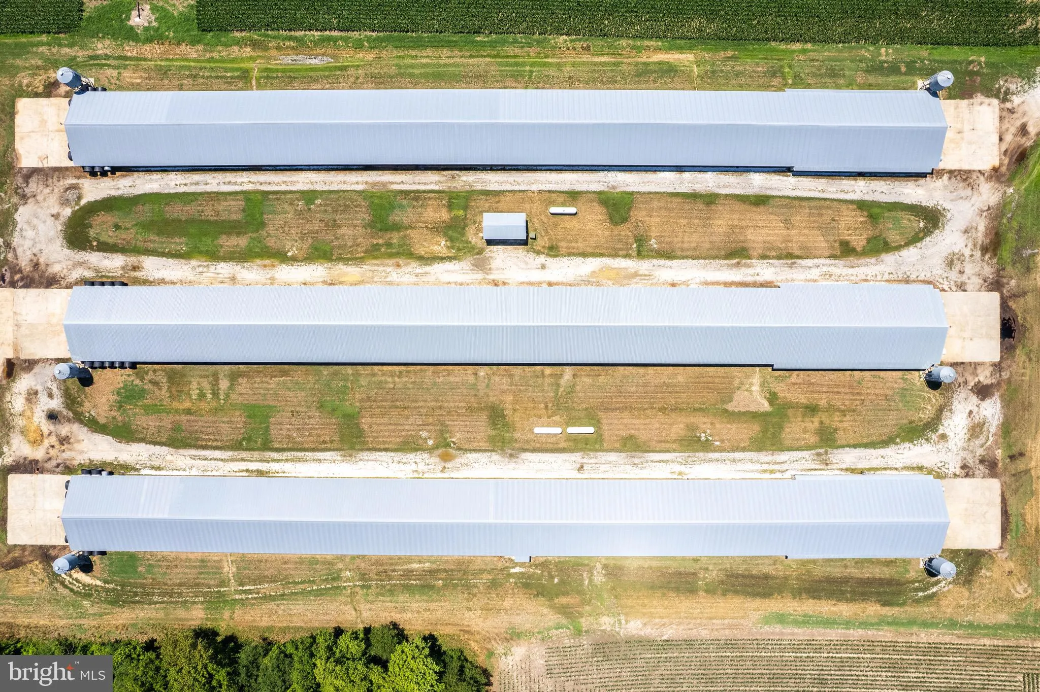 Additional image 38 of Poultry Farm Dublin Hill Road, Bridgeville, DE 19933