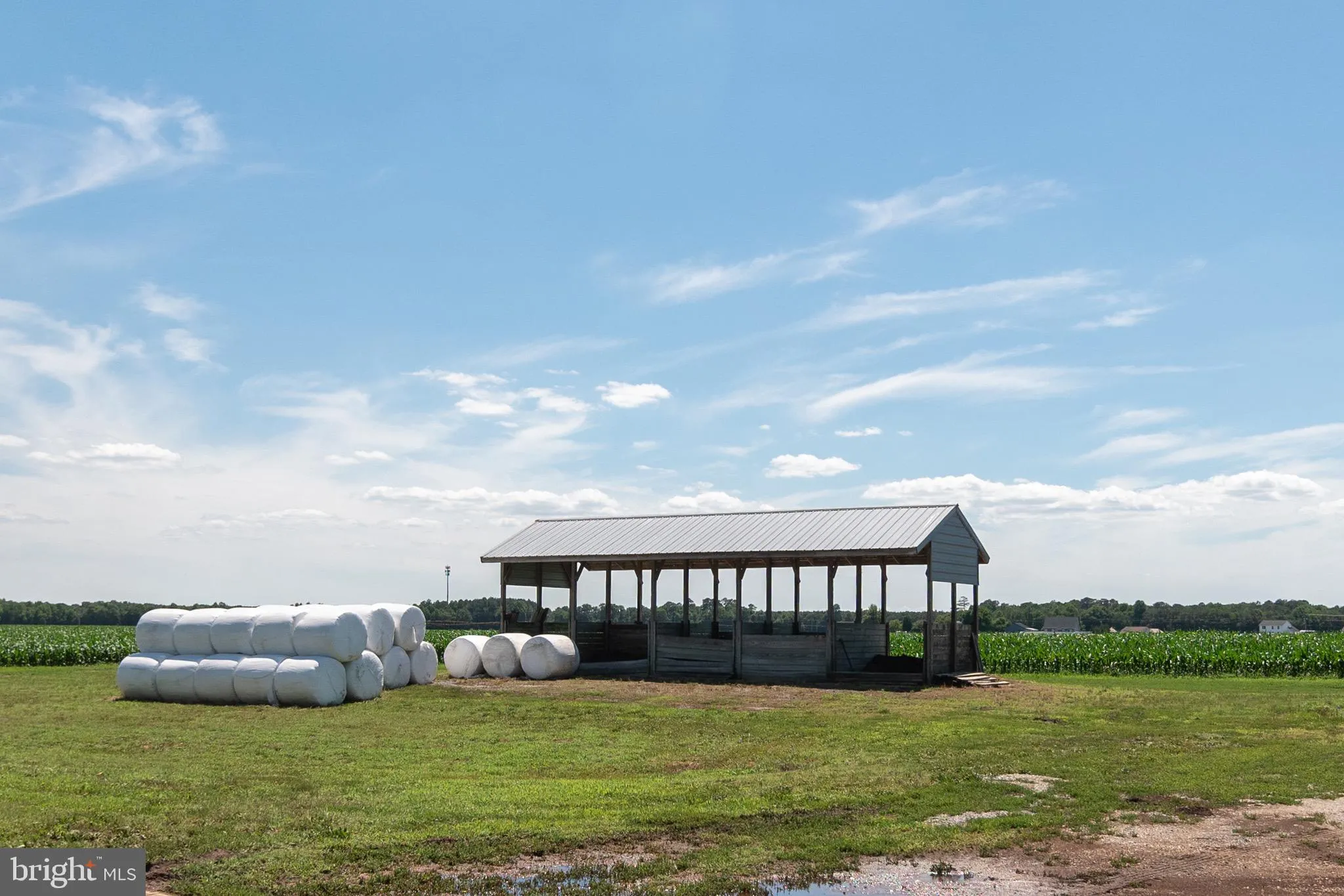 Additional image 42 of Poultry Farm Dublin Hill Road, Bridgeville, DE 19933