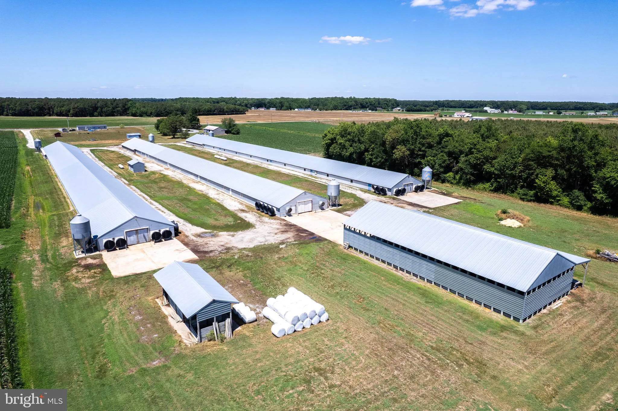 Additional image 33 of Poultry Farm Dublin Hill Road, Bridgeville, DE 19933