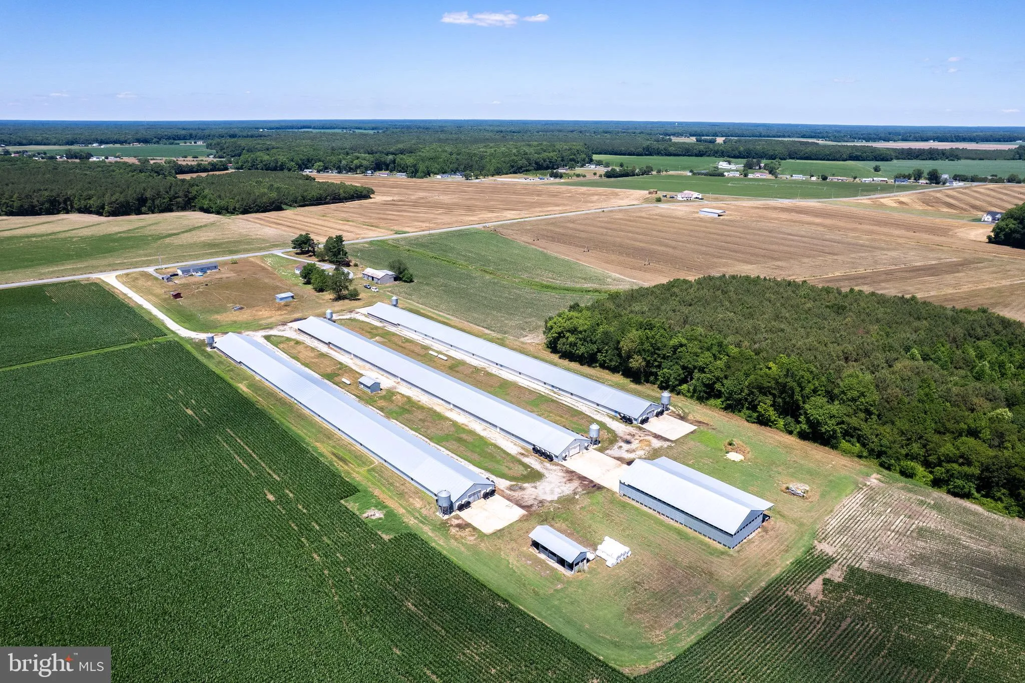 Additional image 30 of Poultry Farm Dublin Hill Road, Bridgeville, DE 19933