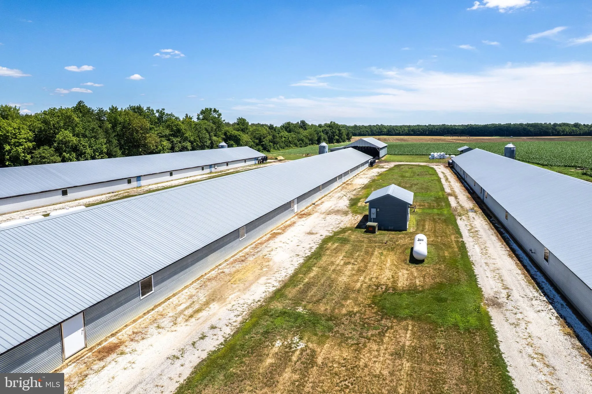 Additional image 36 of Poultry Farm Dublin Hill Road, Bridgeville, DE 19933