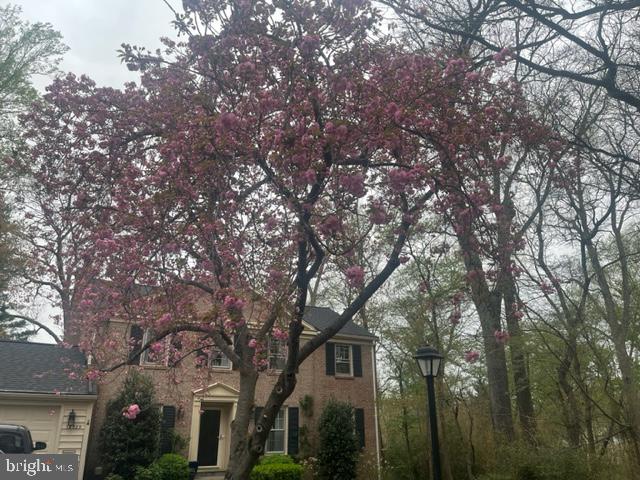 WHETSTONE - Residential