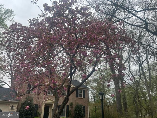 WHETSTONE - Residential