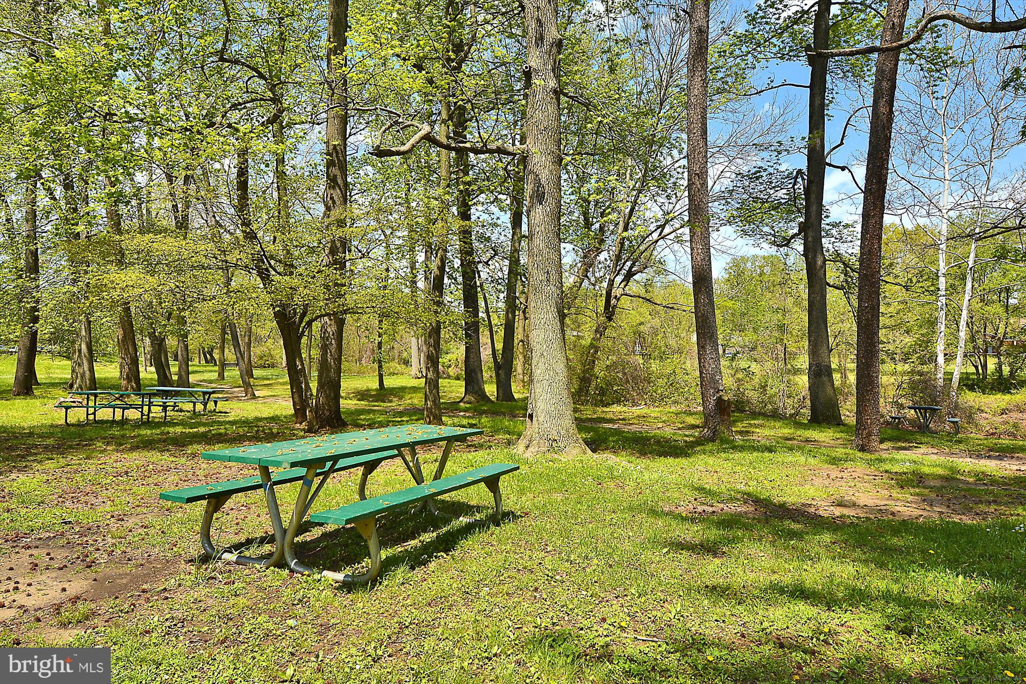 PAVILION ON THE PARK - Residential Lease