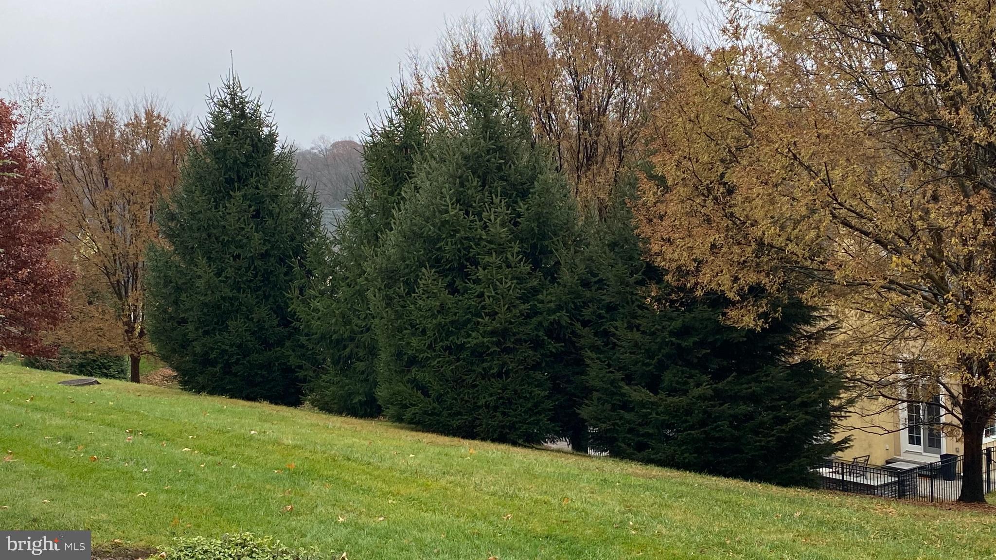 HAVERFORD RESERVE - Residential