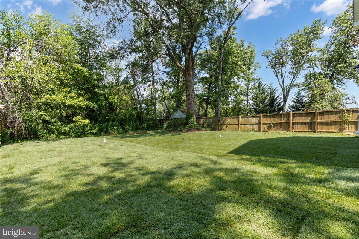 4 BELVEDERE AVENUE