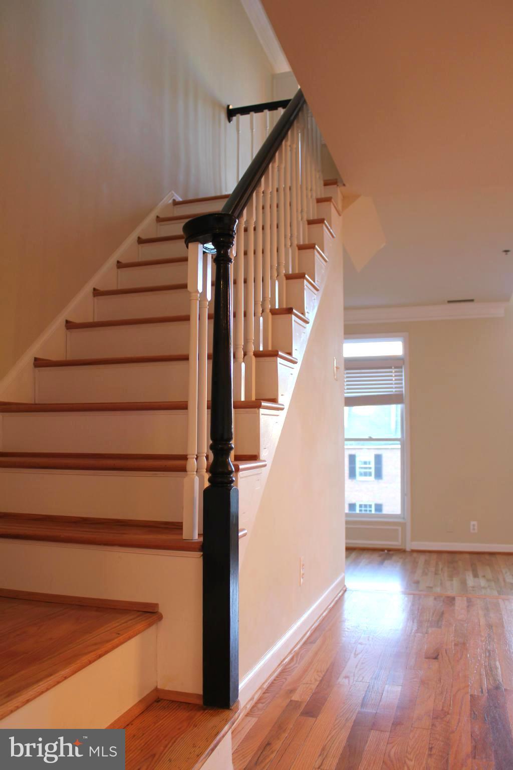 TORPEDO FACTORY - Residential Lease