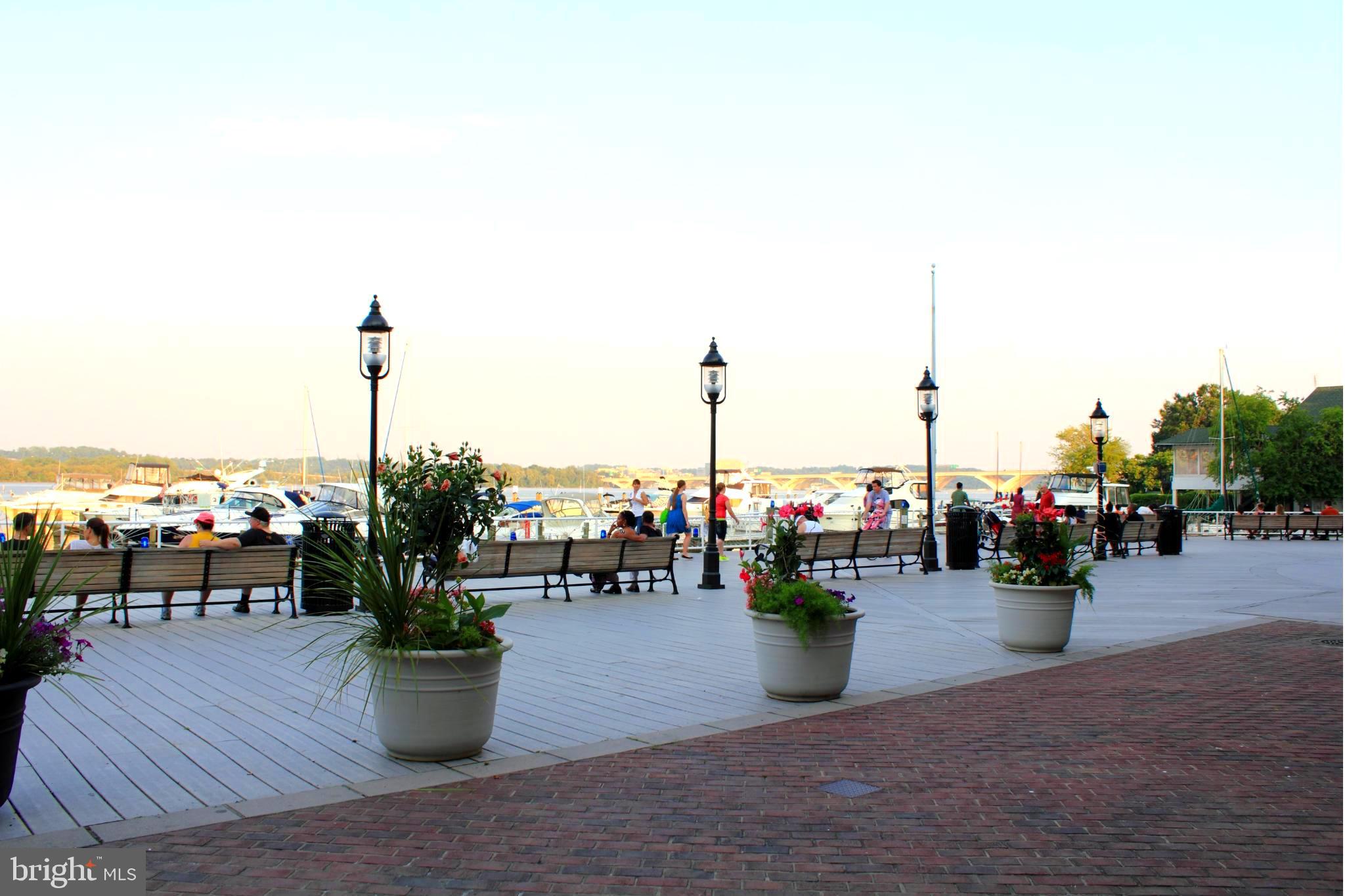 TORPEDO FACTORY - Residential Lease