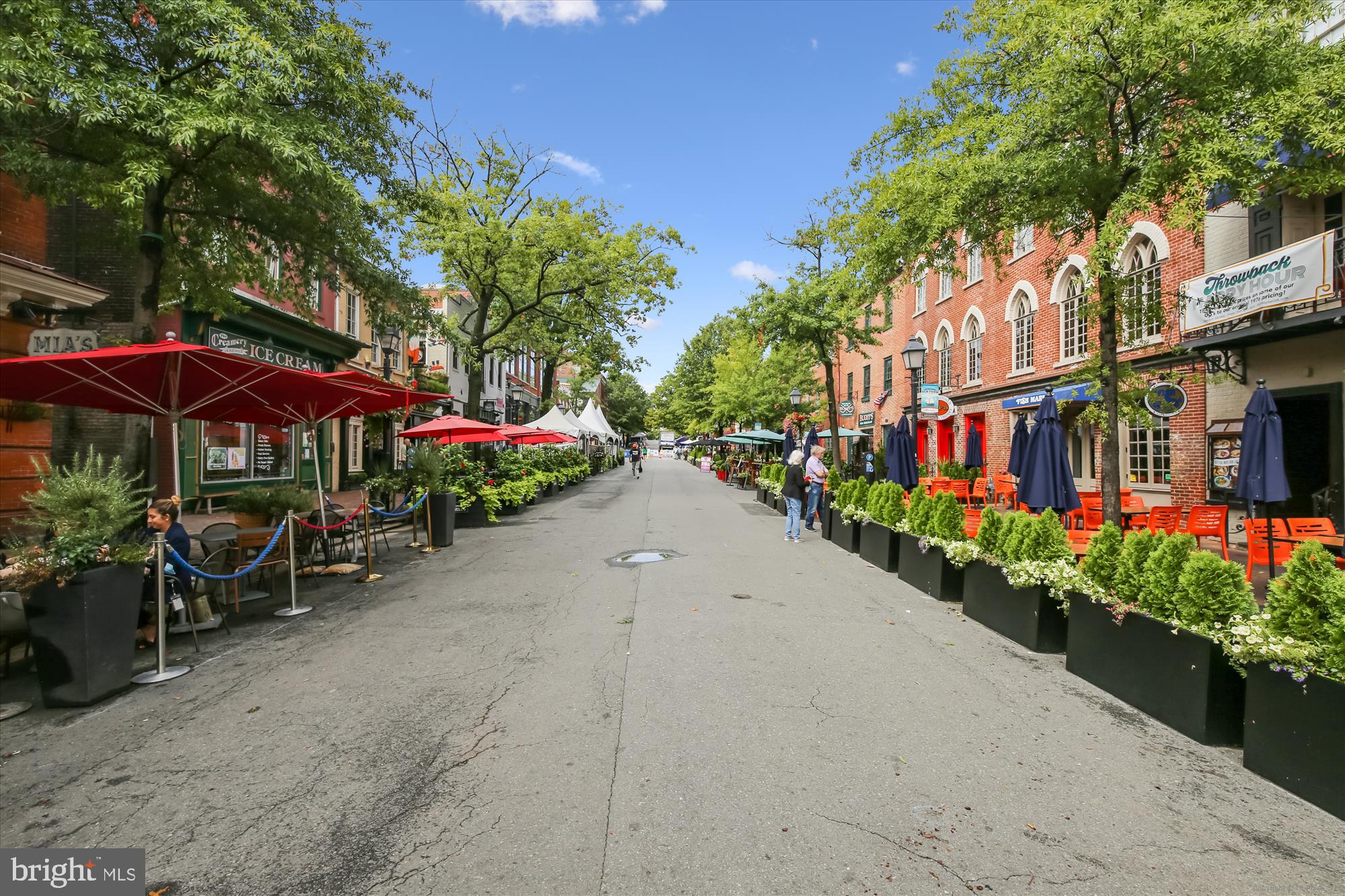 TORPEDO FACTORY - Residential Lease