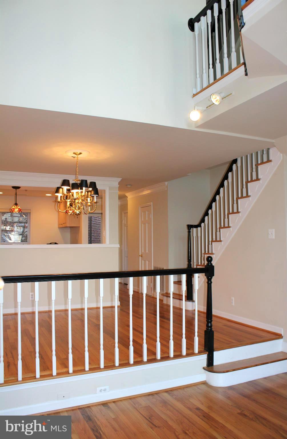 TORPEDO FACTORY - Residential Lease