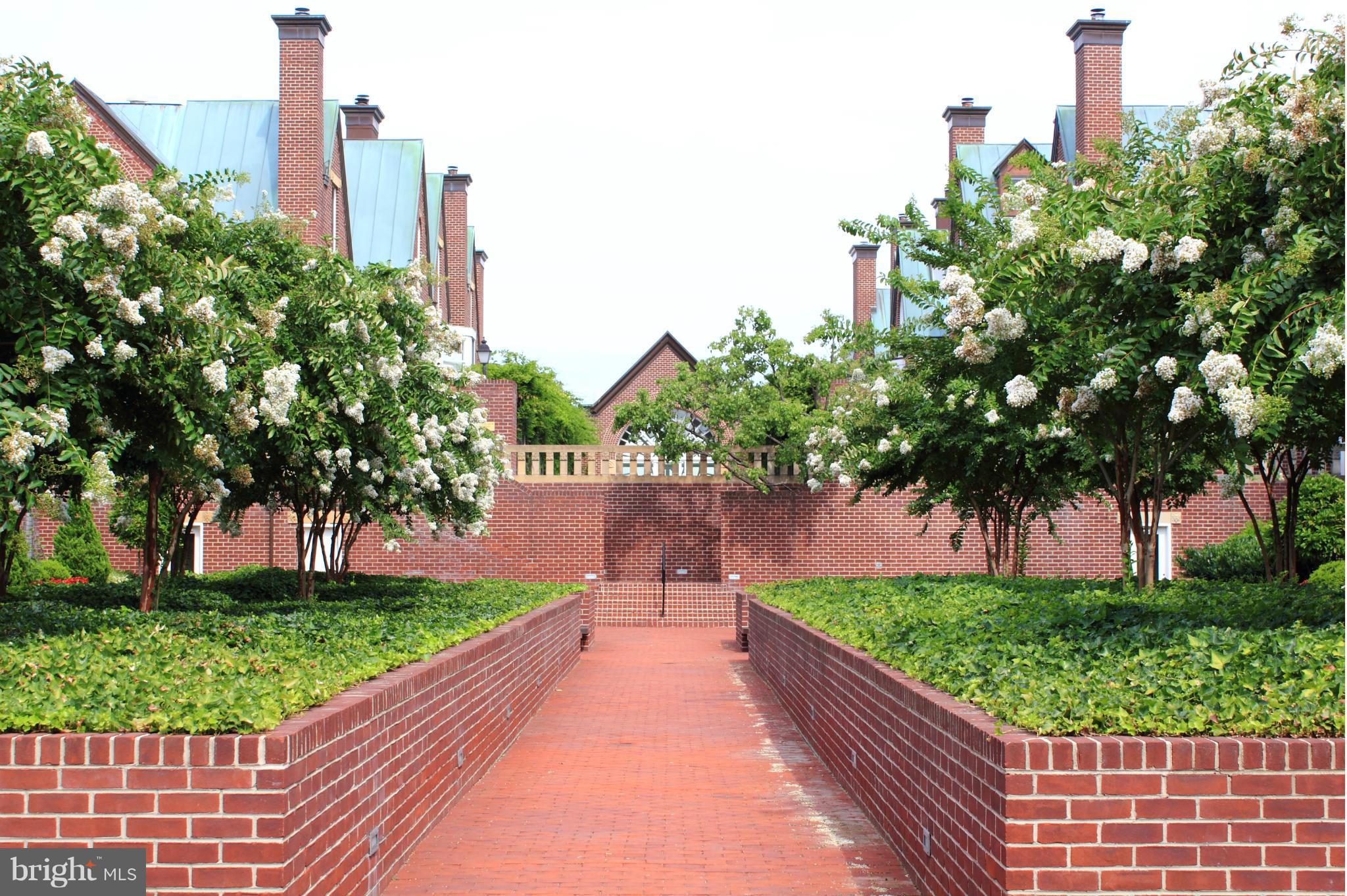 TORPEDO FACTORY - Residential Lease