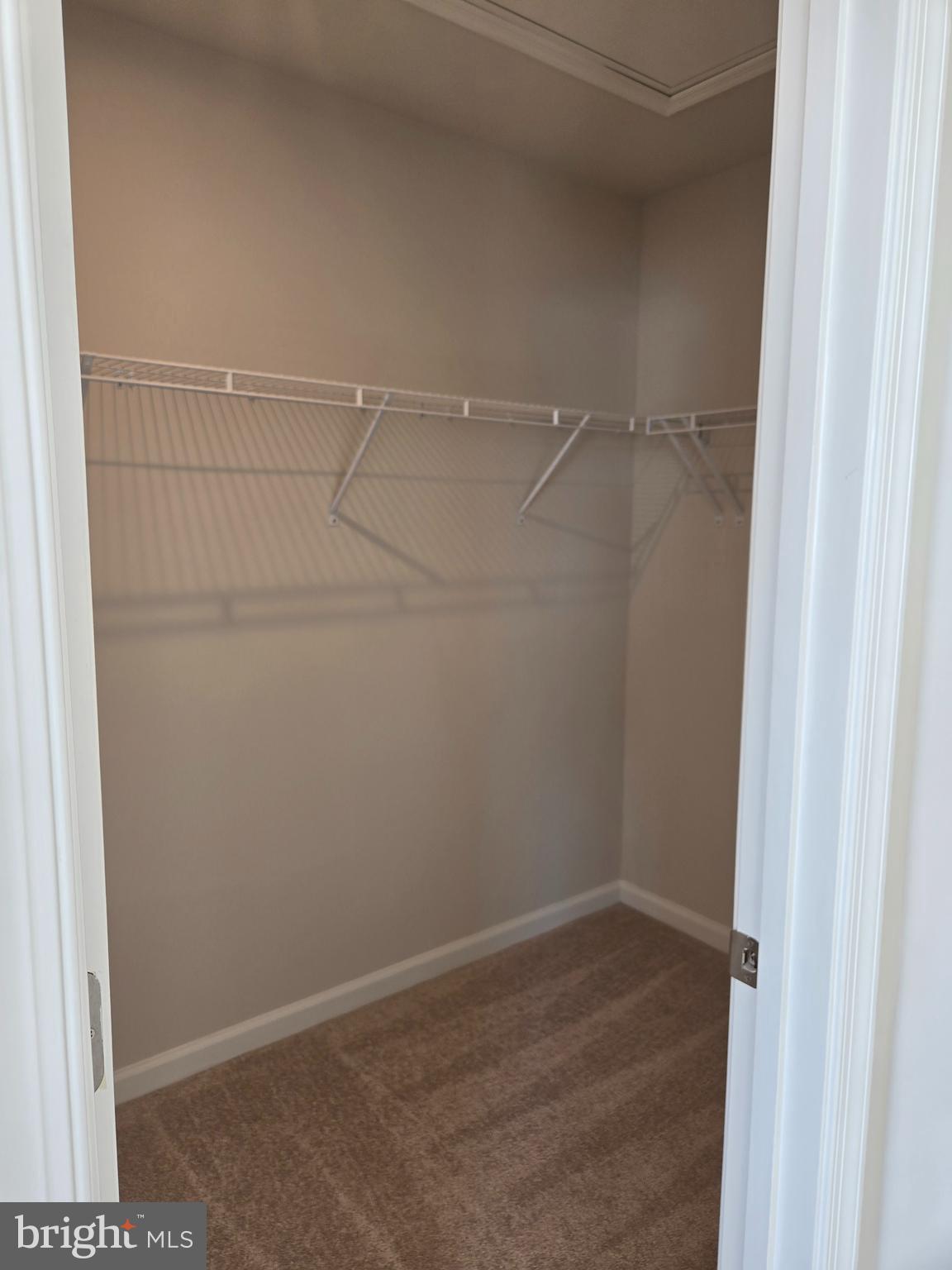 STONE SPRING - Residential Lease