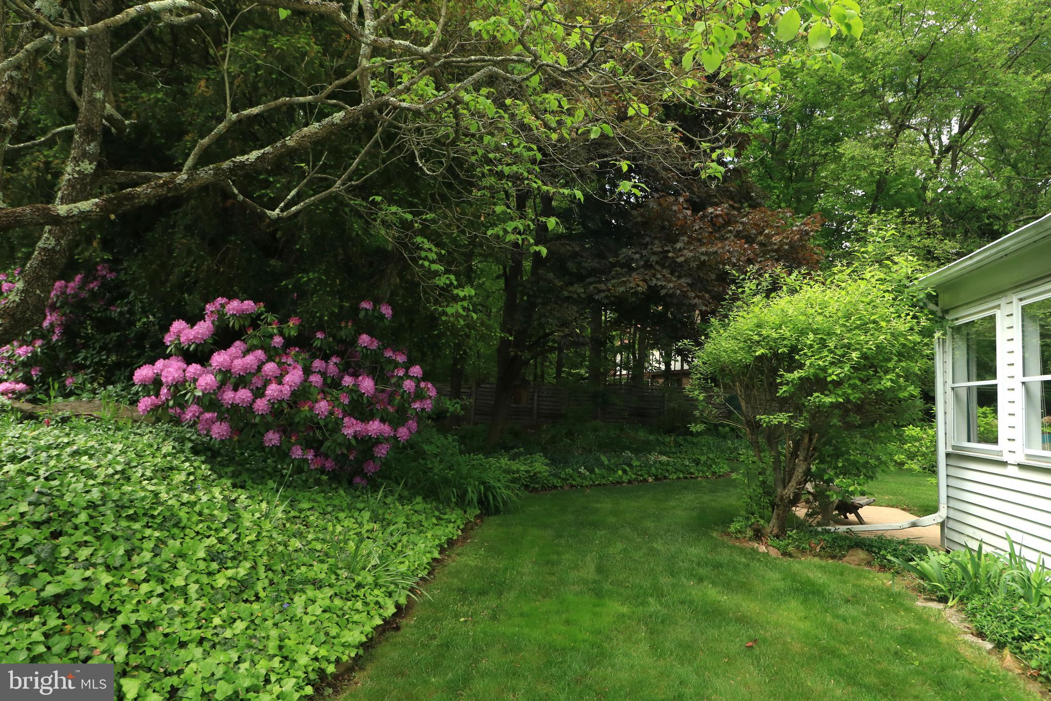 PARK FOREST VILLAGE - Residential