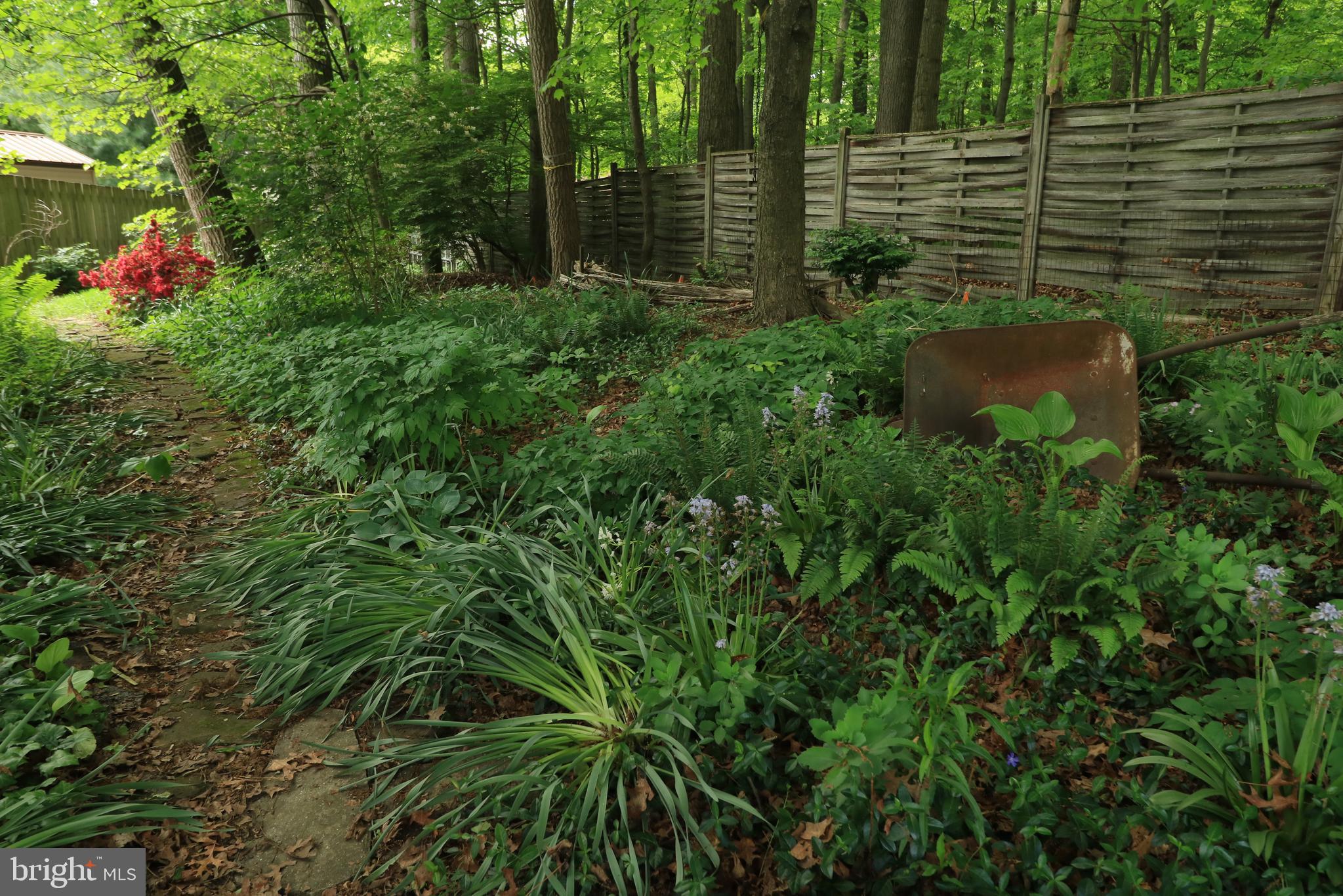 PARK FOREST VILLAGE - Residential