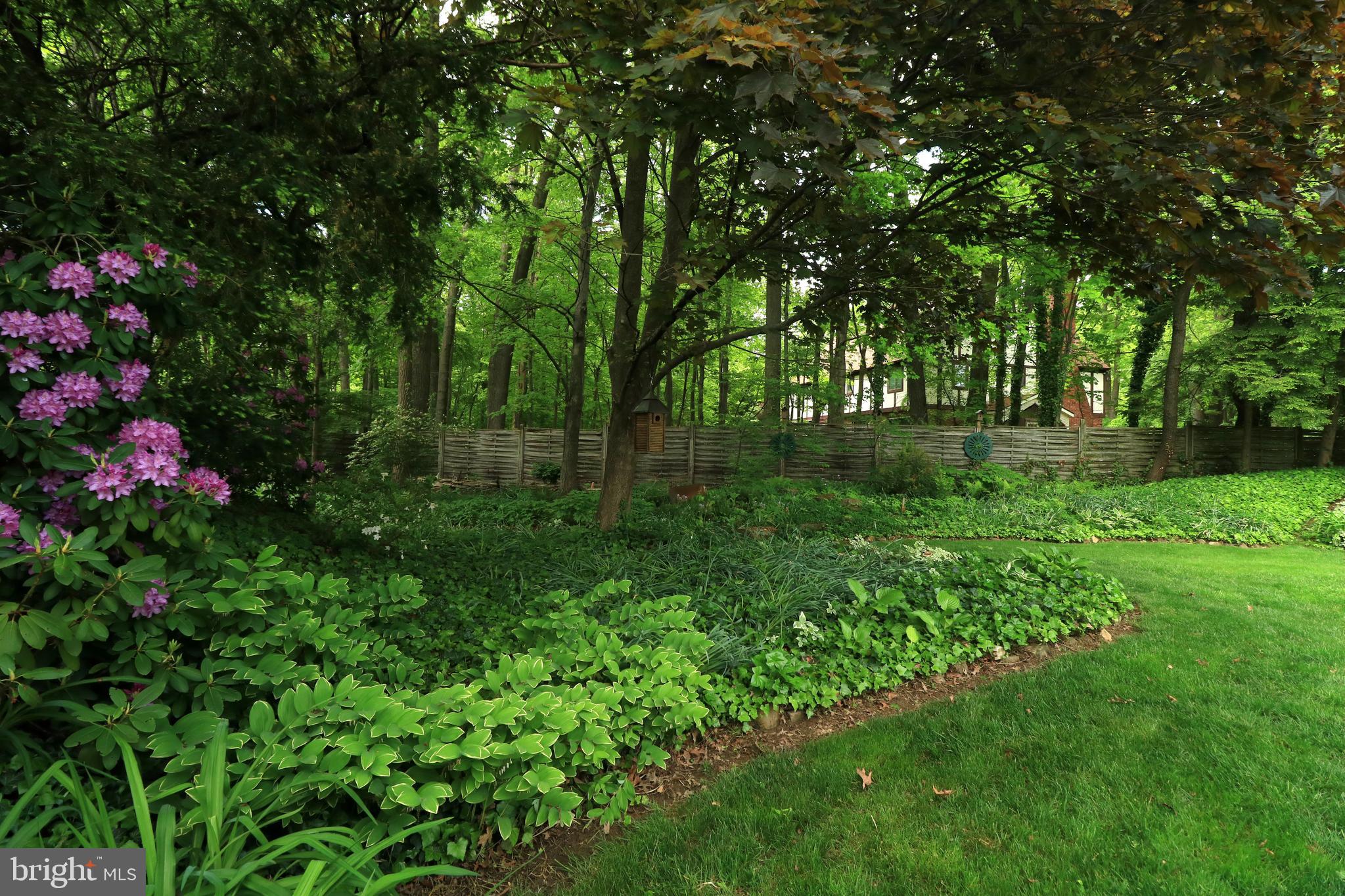 PARK FOREST VILLAGE - Residential