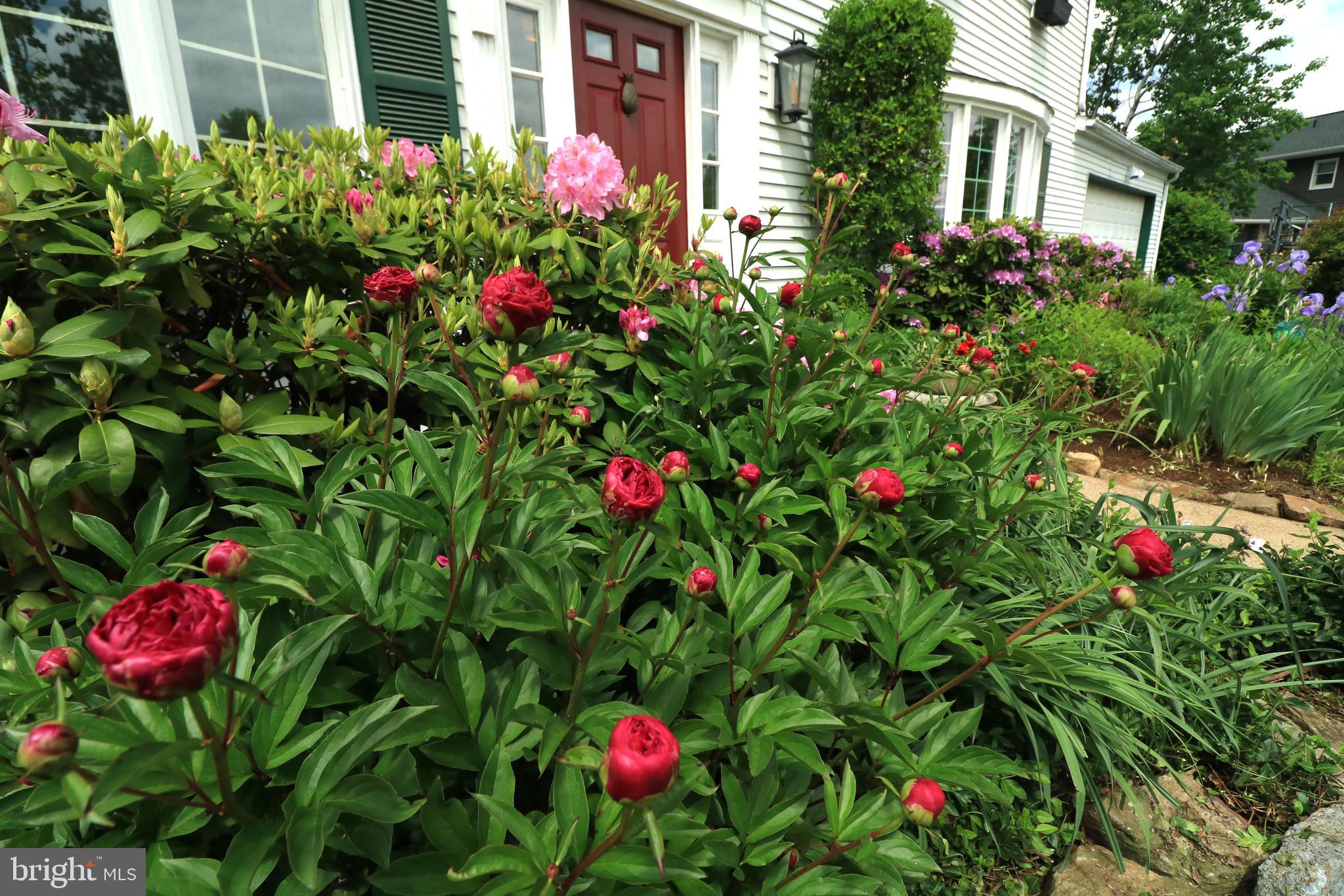 PARK FOREST VILLAGE - Residential