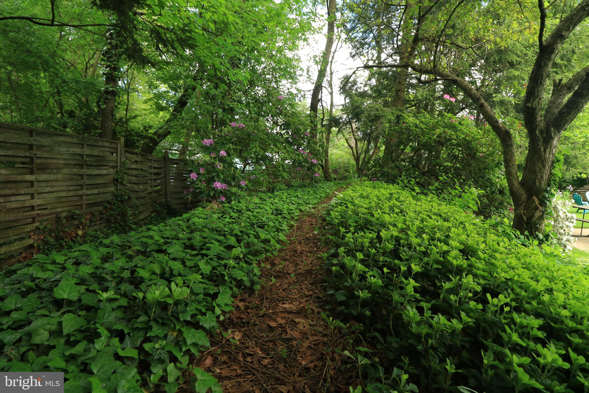 PARK FOREST VILLAGE - Residential