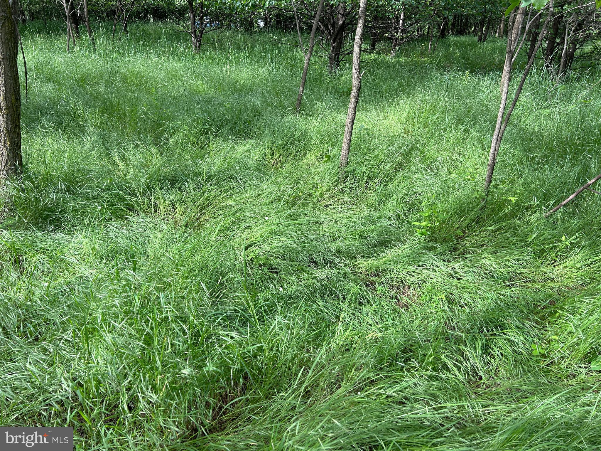 ALMOST HEAVEN ACRES - Land