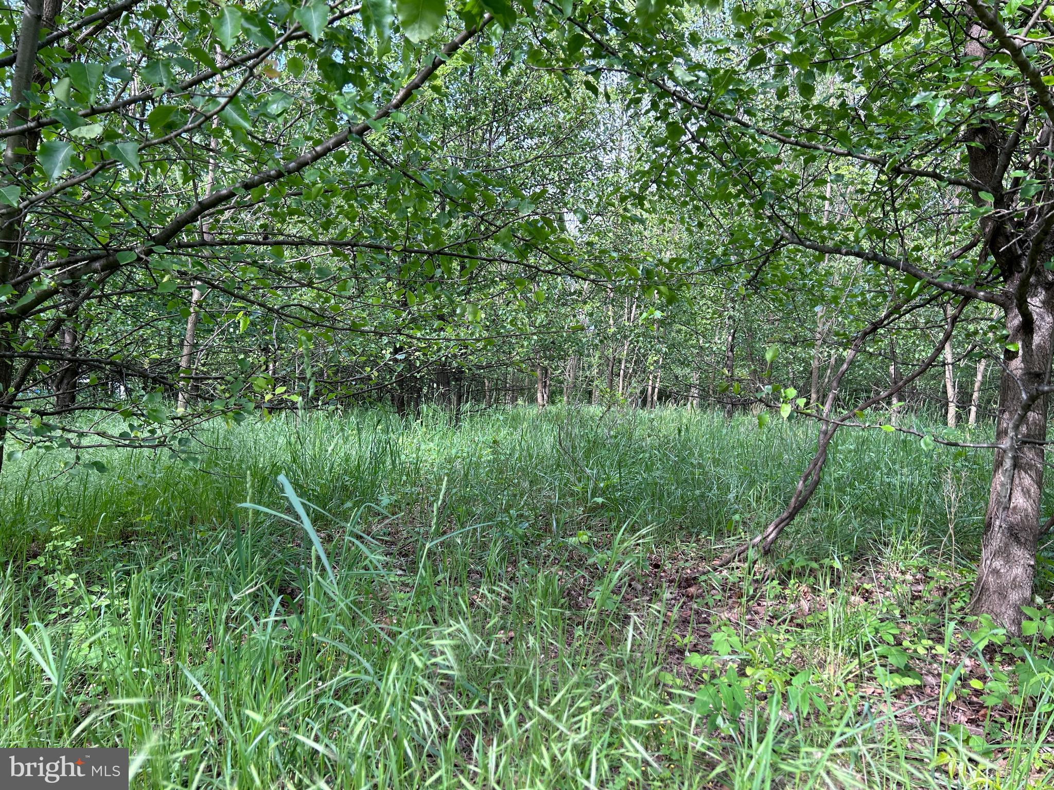 ALMOST HEAVEN ACRES - Land