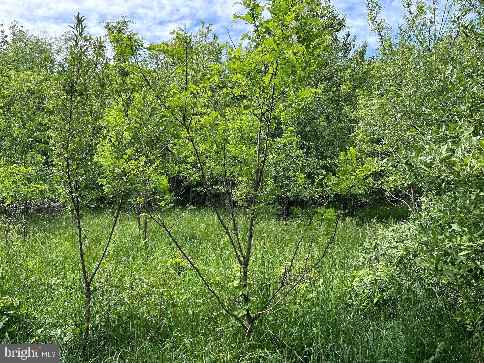 ALMOST HEAVEN ACRES - Land