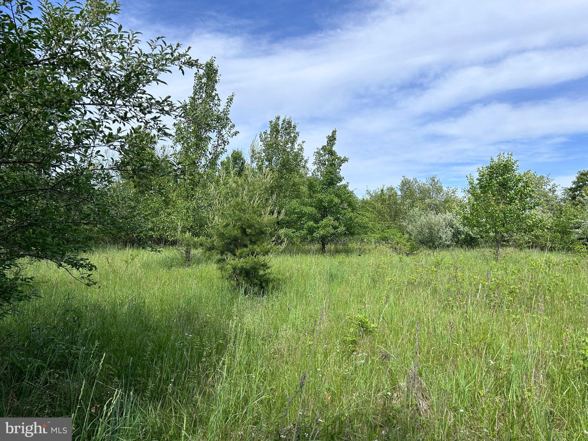 ALMOST HEAVEN ACRES - Land