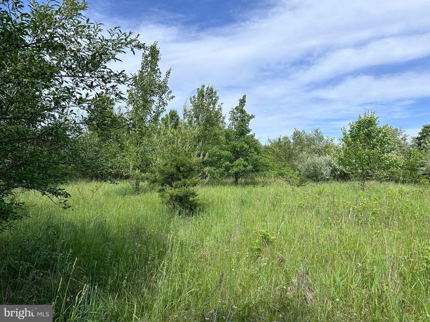 Located on the southern end of Berkeley Springs, you will find this diamond in the rough property just waiting for someone with vision and grit to roll up their sleeves and get to work.  This could be a gorgeous lot, once mowed and cleared of some trees.  The lot is mostly flat, which makes excavation more feasible.  There's a definite harmony to this property, so you can escape to your rural retreat that's only a short, picturesque drive to urban conveniences.  No utilities on this property, simply raw land with potential. Enjoy the beauty, and the quietude of Timber Ridge Road and schedule your appointment to tour today.