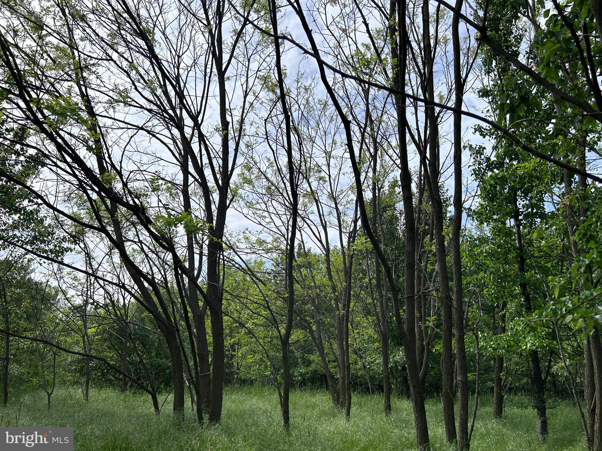 ALMOST HEAVEN ACRES - Land