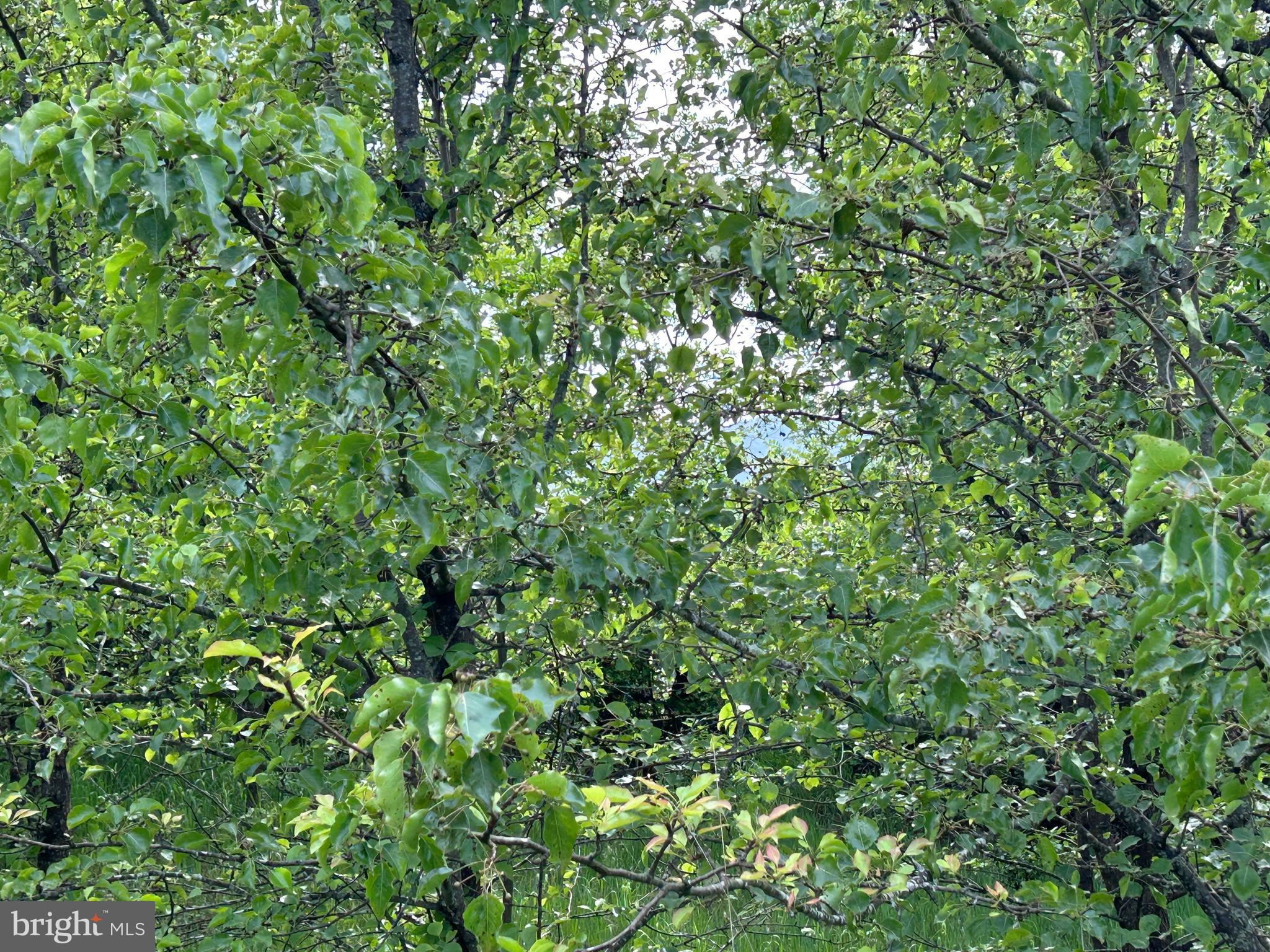 ALMOST HEAVEN ACRES - Land